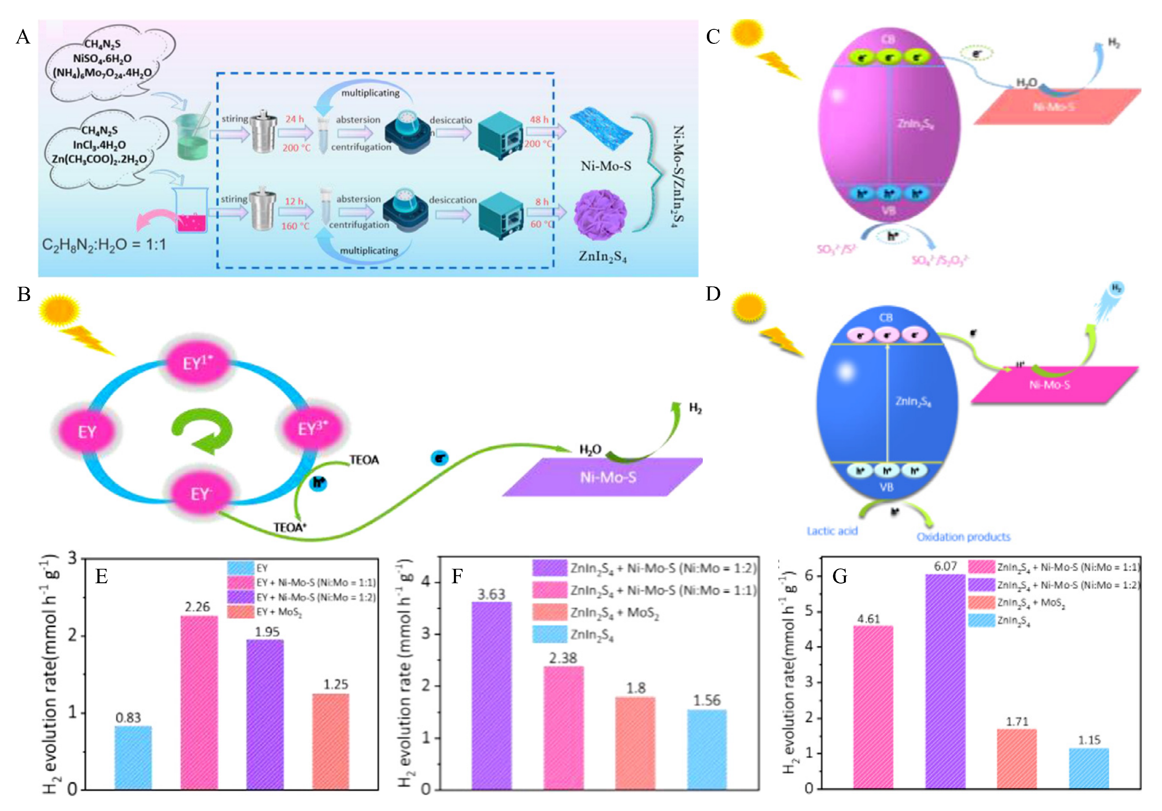 Catalysts 13 01148 g012 Catalysts 13 01148 g012