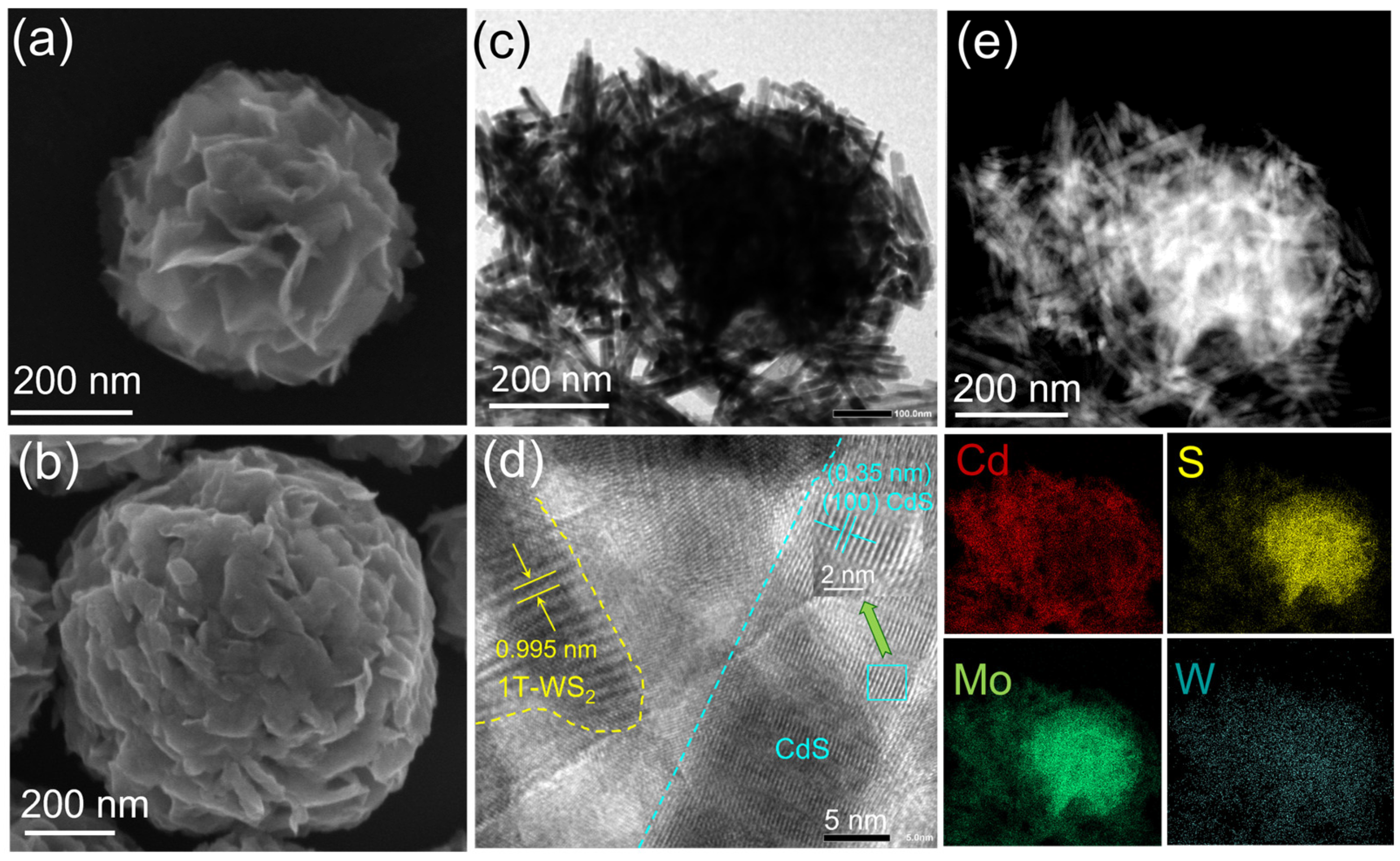 Catalysts 13 01149 g002