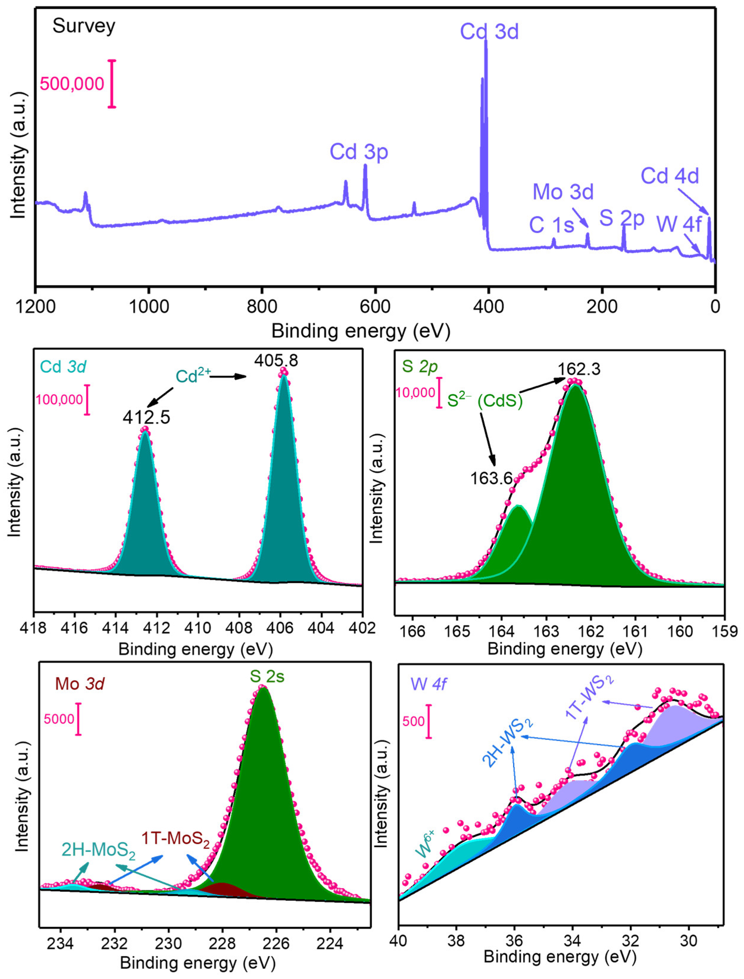 Catalysts 13 01149 g003
