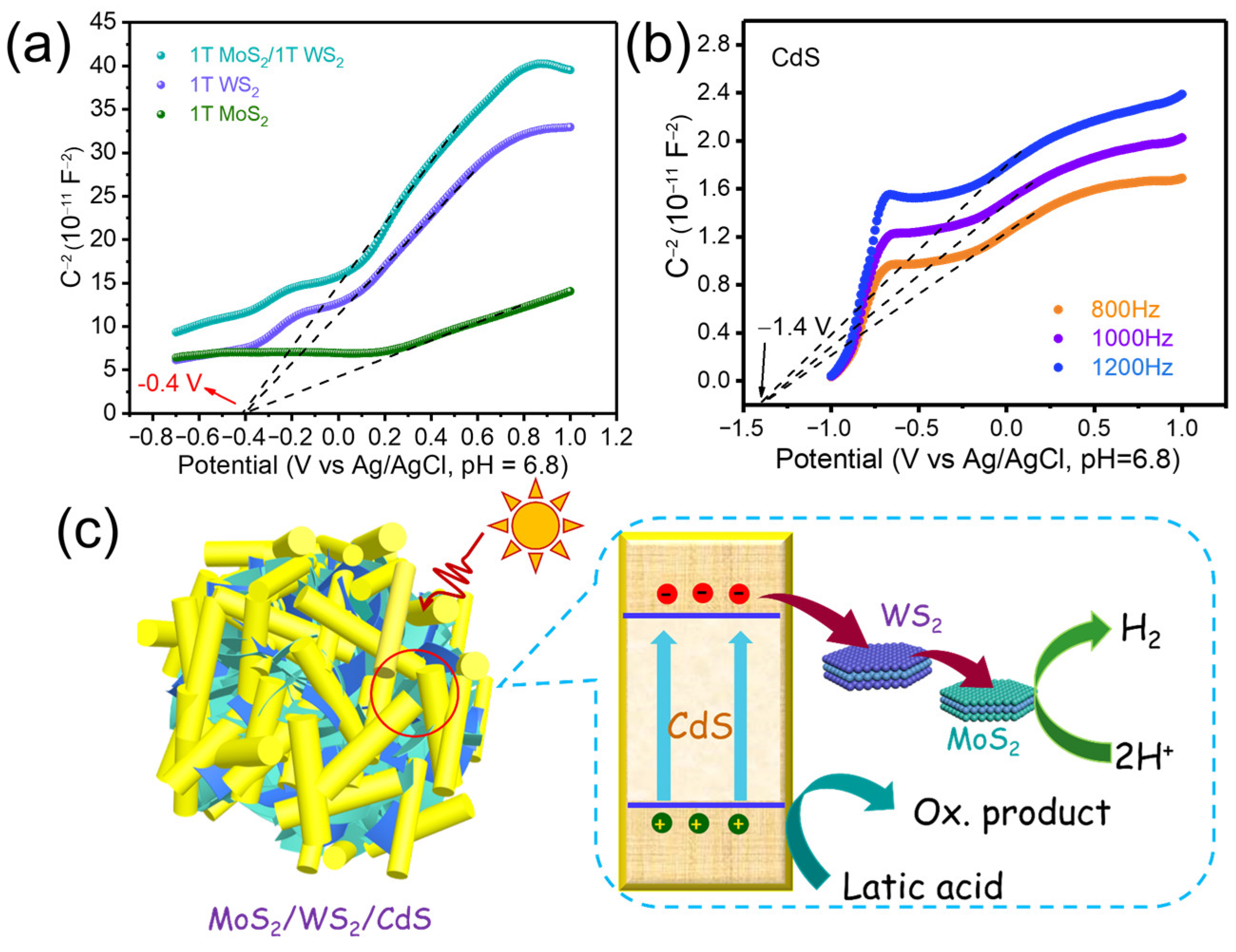 Catalysts 13 01149 g007