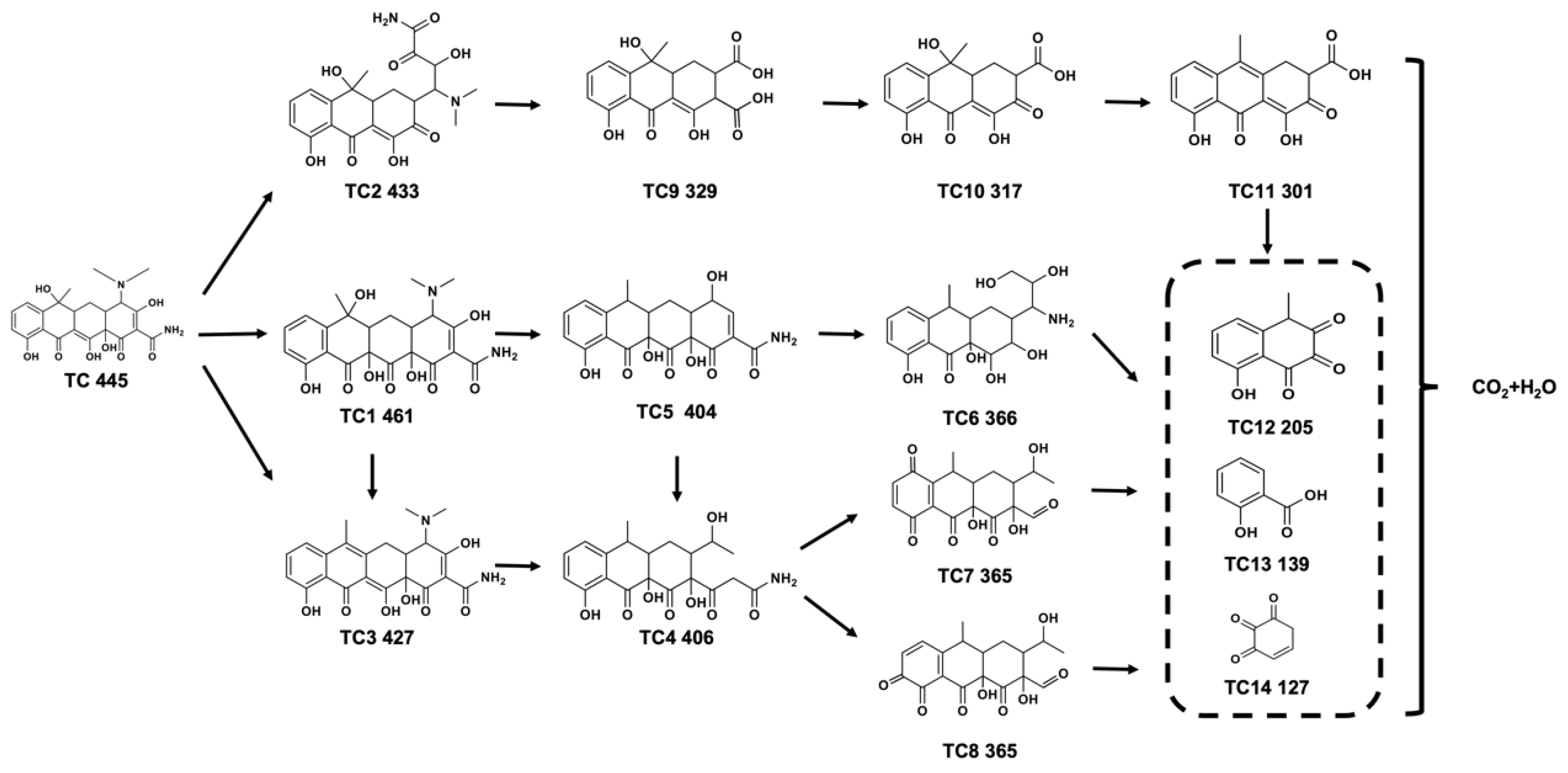 Catalysts 13 01150 g005