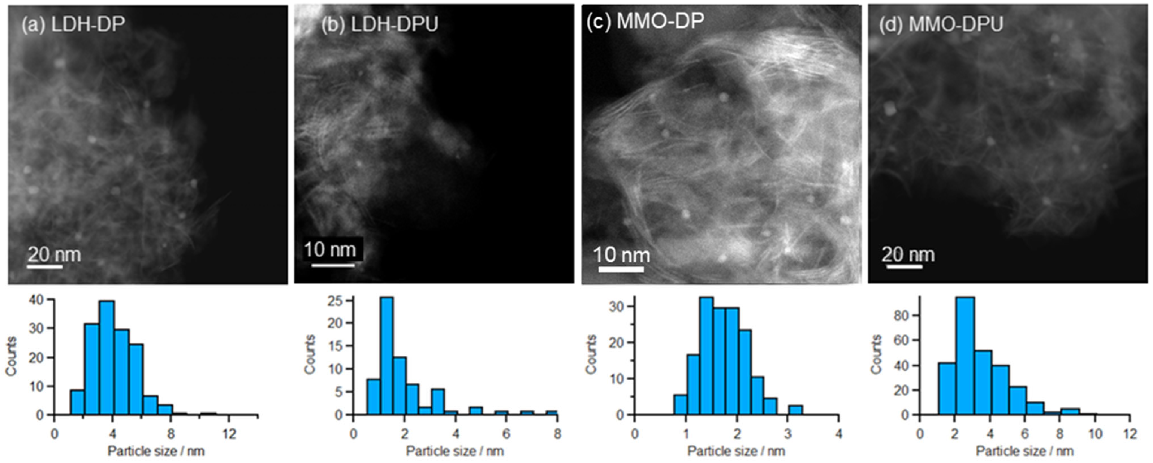 Catalysts 13 01155 g002