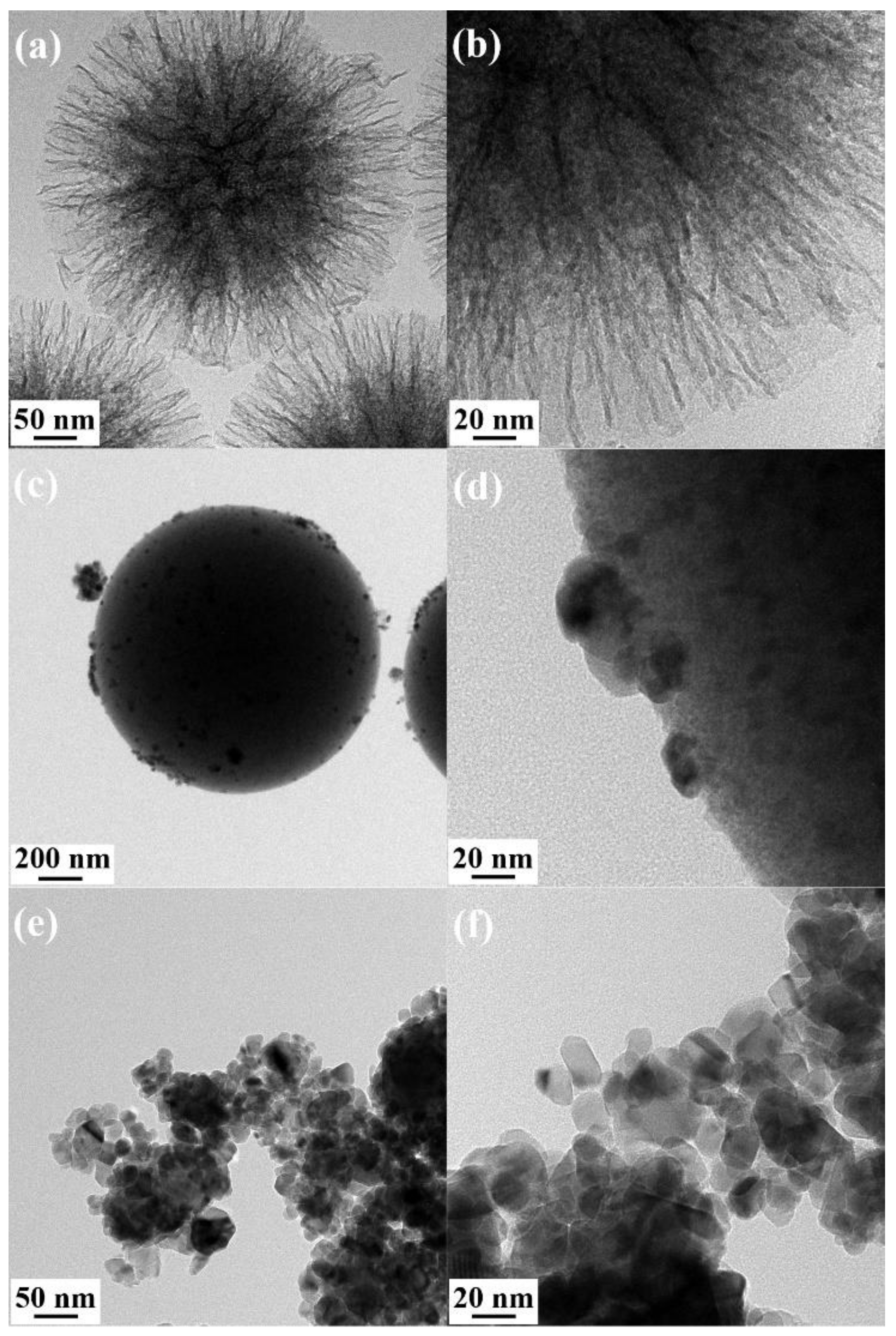 Catalysts 13 01156 g004 Catalysts 13 01156 g004