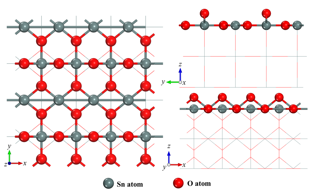 Catalysts 13 01156 g007 Catalysts 13 01156 g007