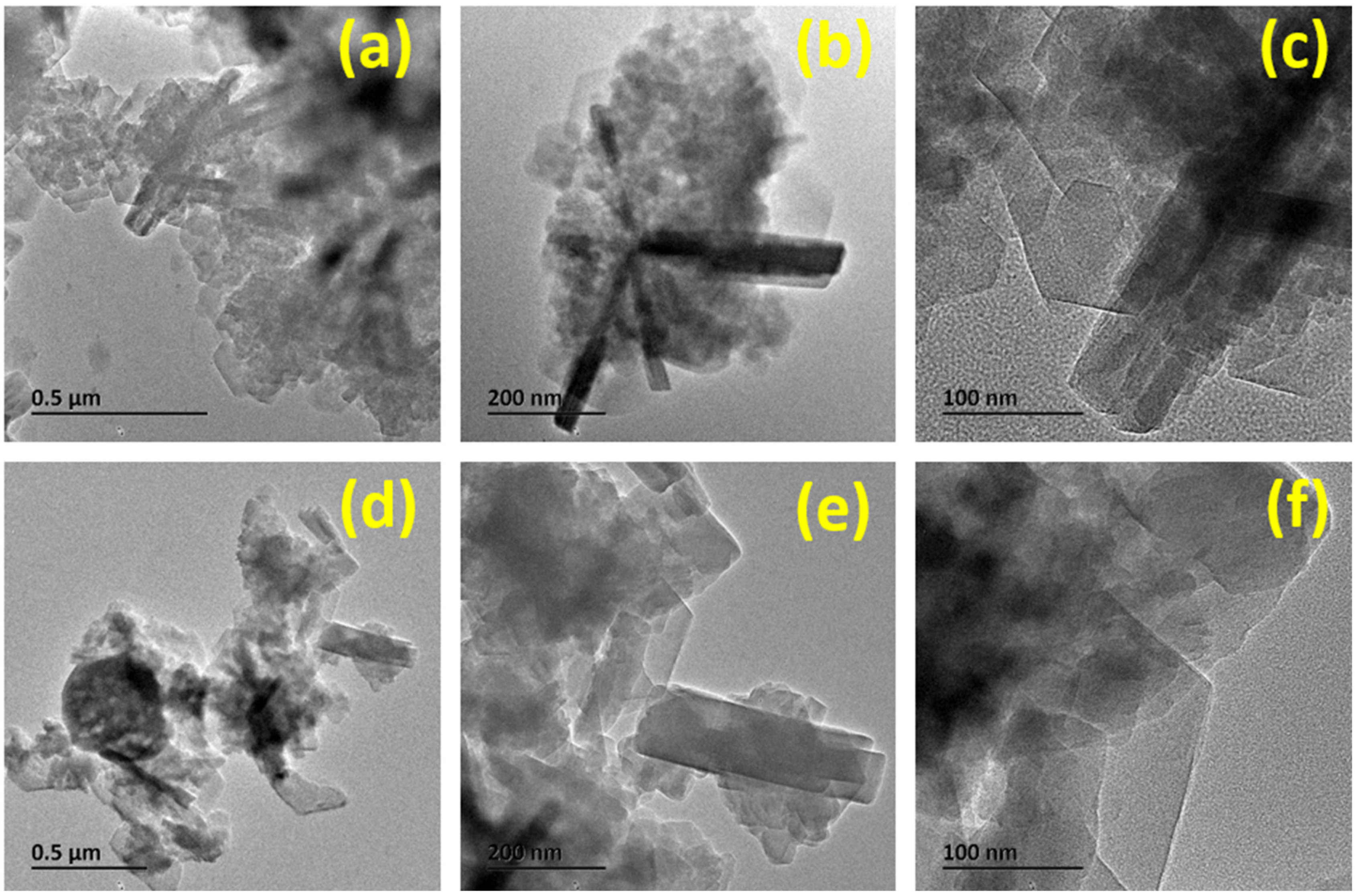 Catalysts 13 01159 g001 550