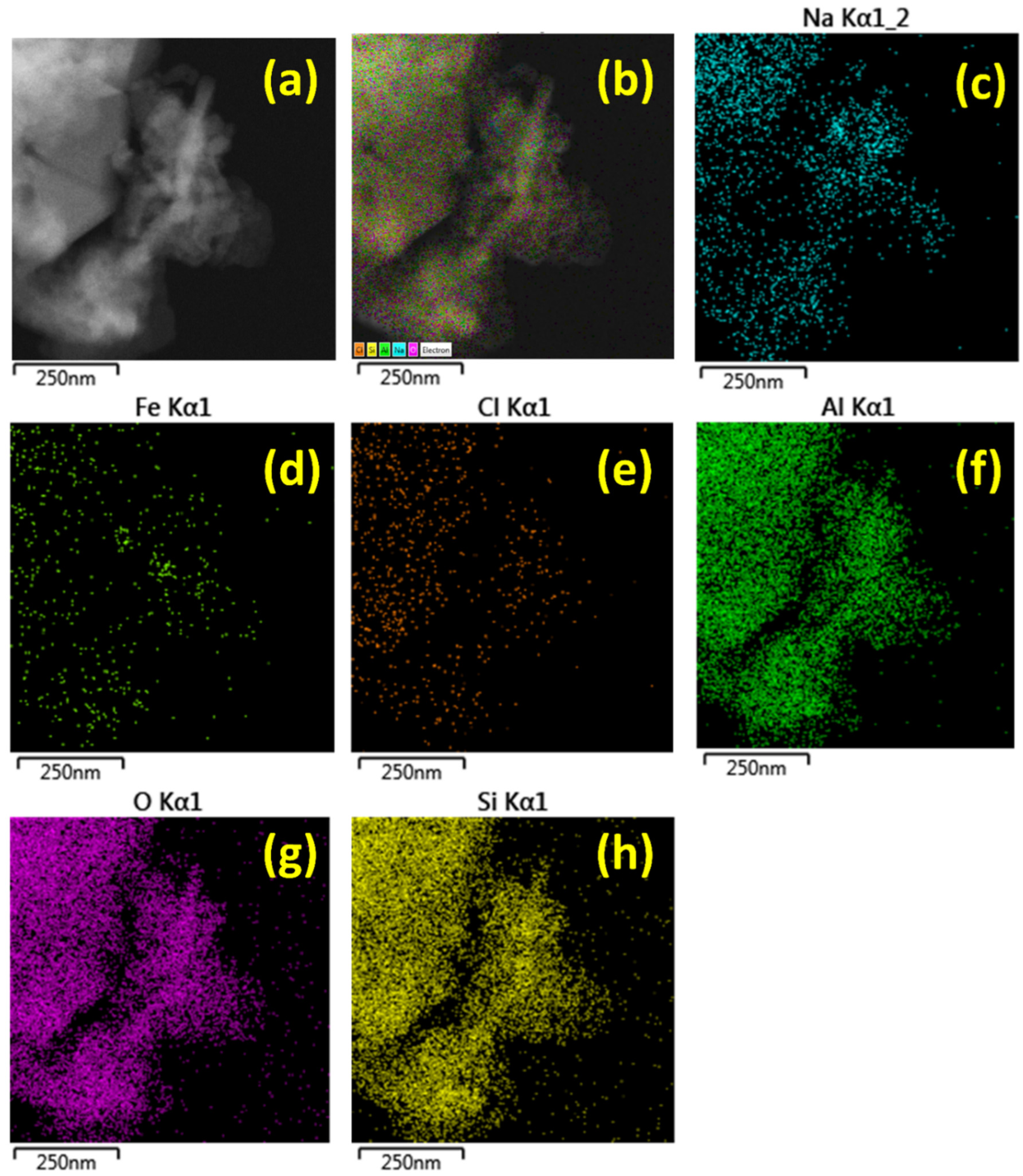 Catalysts 13 01159 g004 550