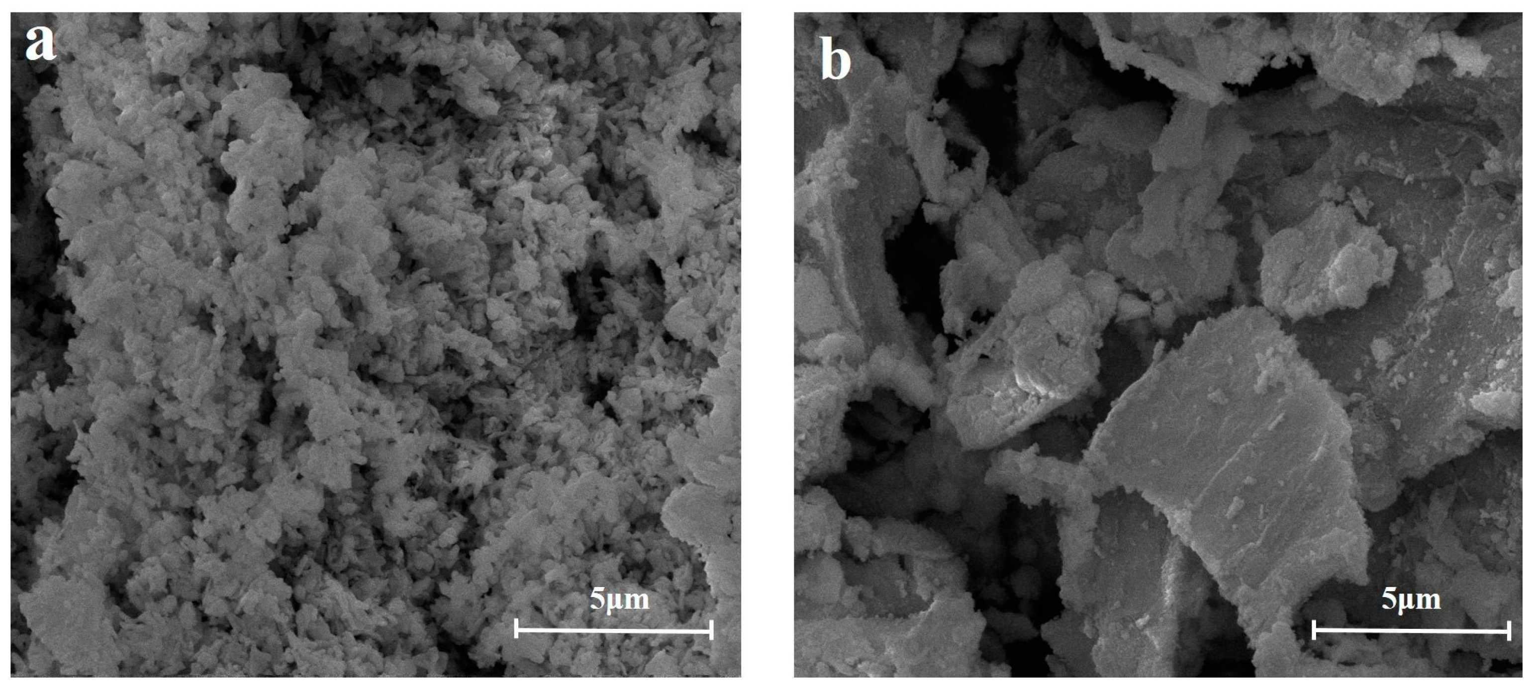 Catalysts 13 01162 g002 550