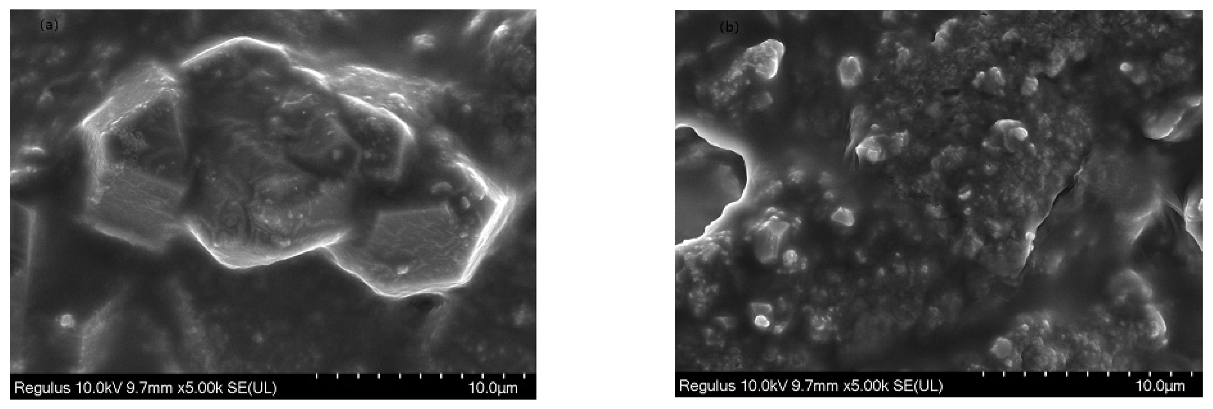 Catalysts 13 01163 g008 Catalysts 13 01163 g008