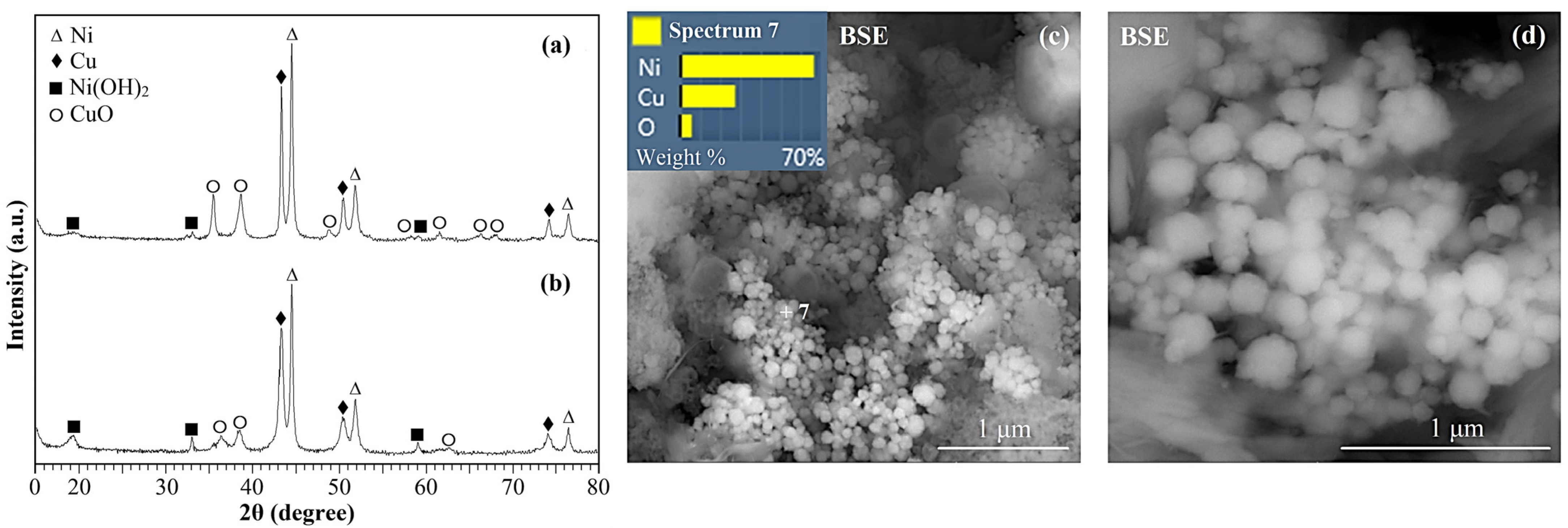 Catalysts 13 01166 g002