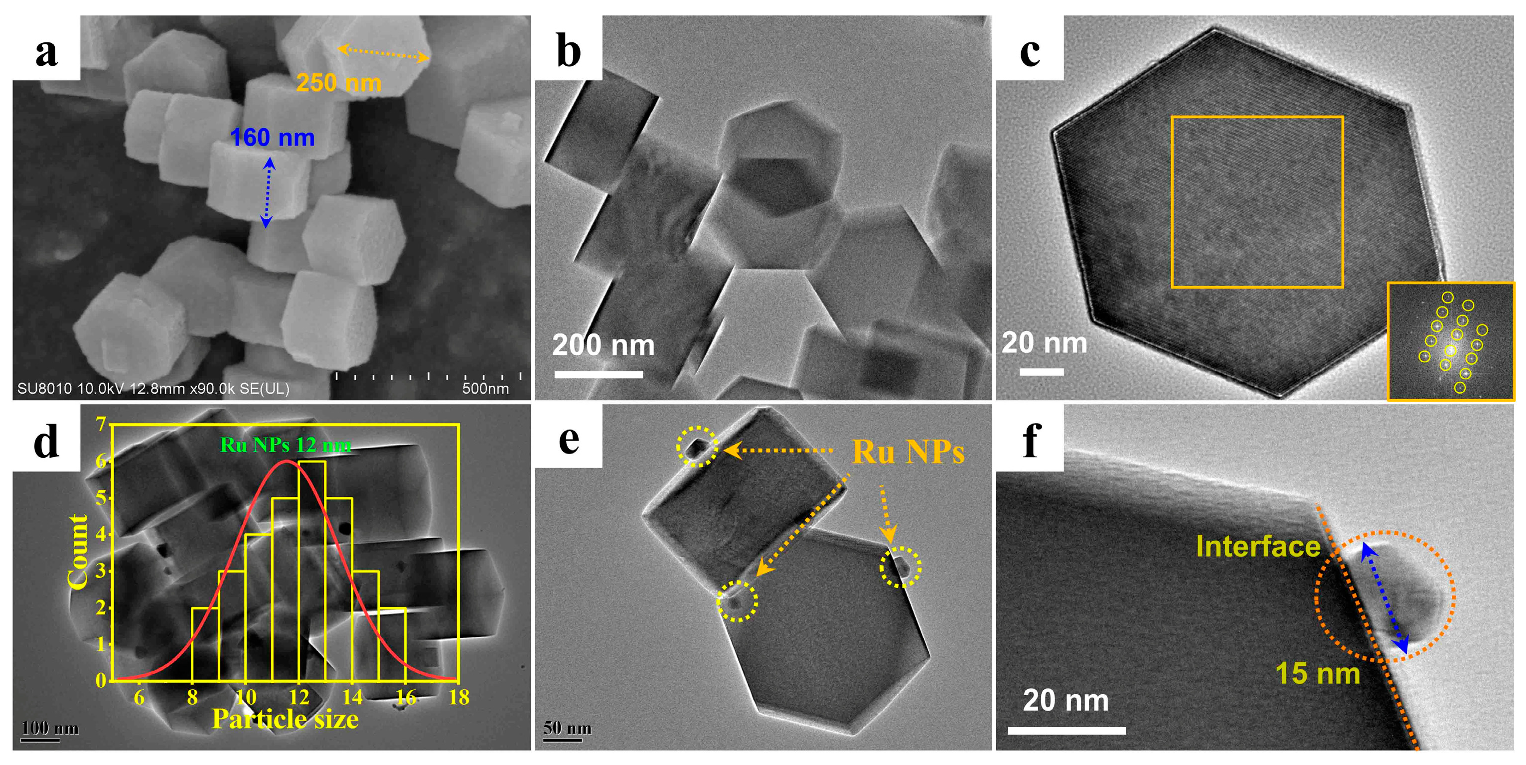 Catalysts 13 01167 g002