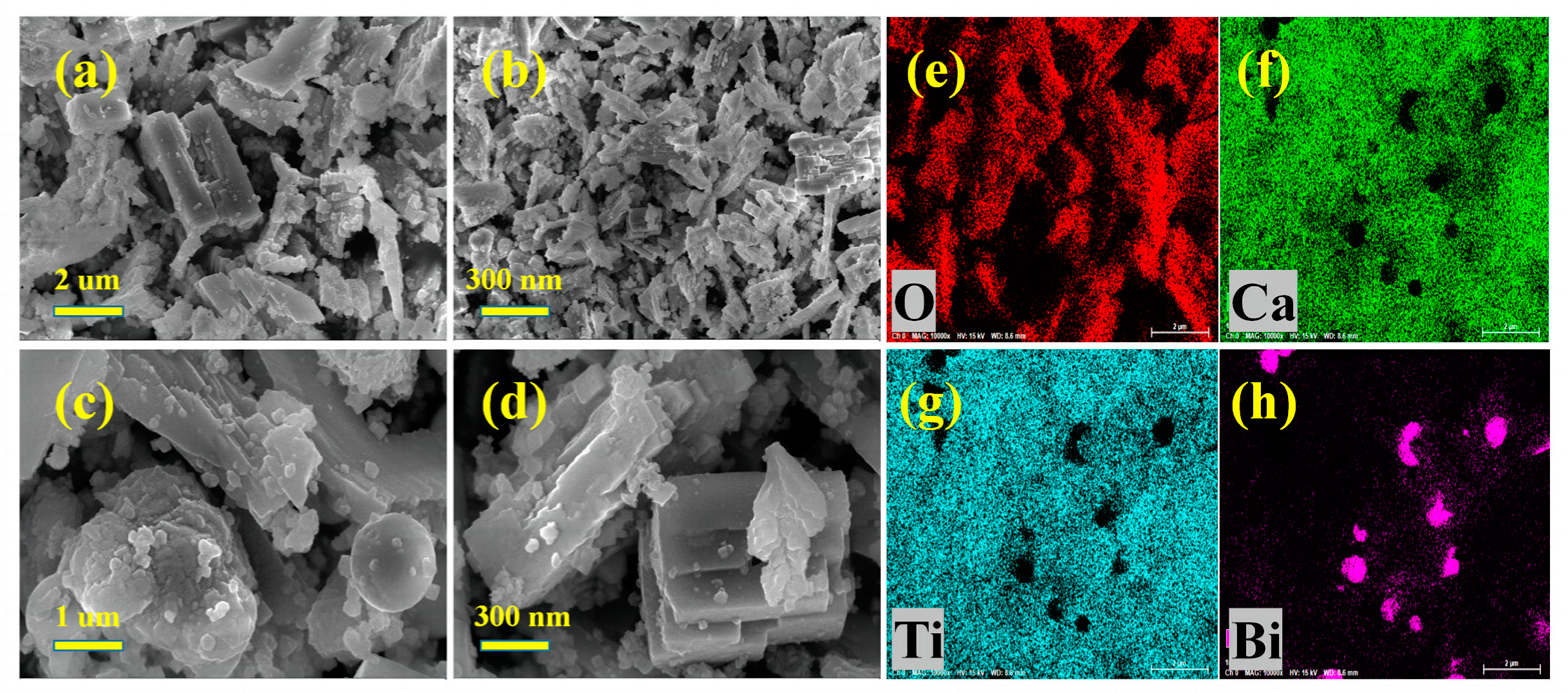 Catalysts 13 01169 g003 550