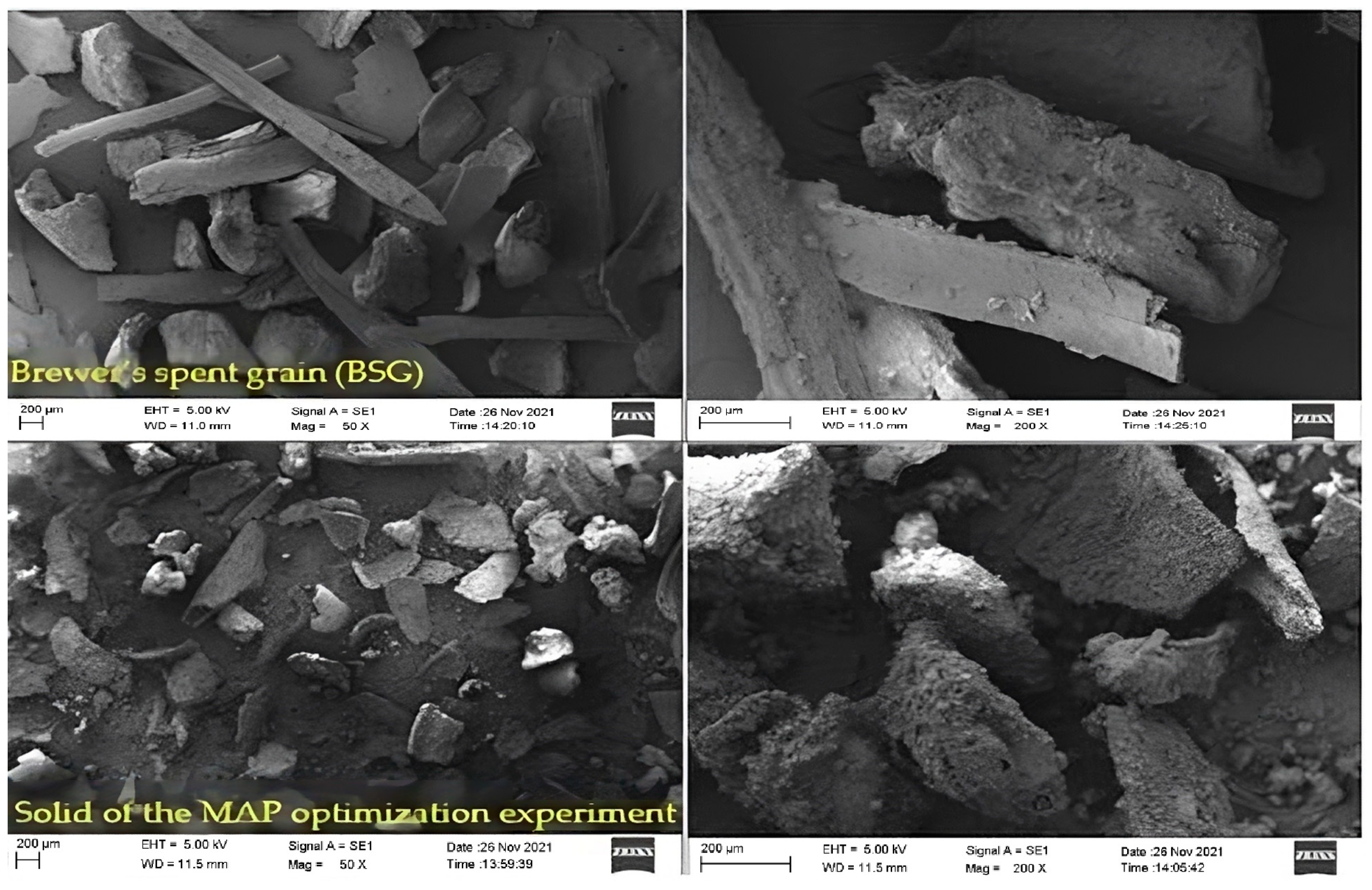 Catalysts 13 01170 g006