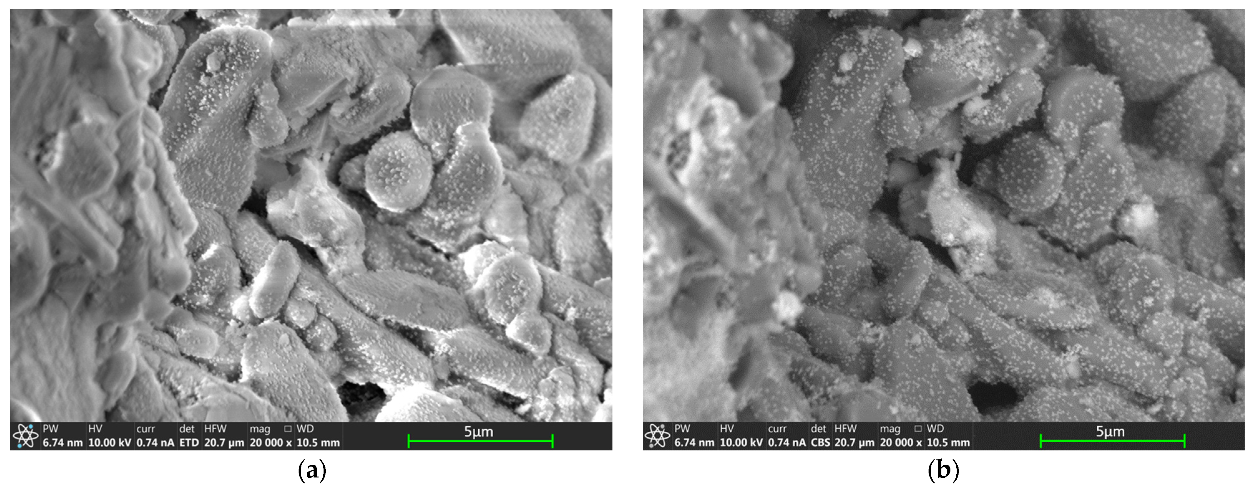 Catalysts 13 01172 g016 Catalysts 13 01172 g016