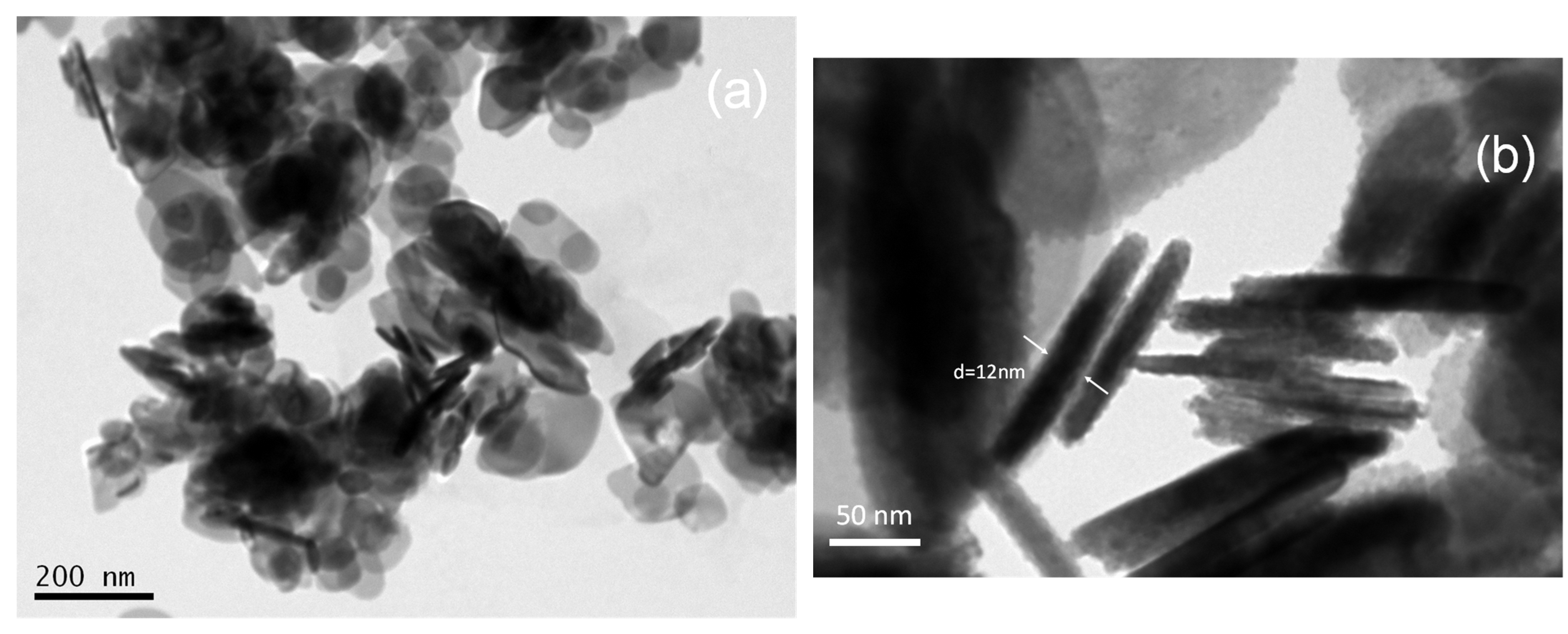 Catalysts 13 01175 g003a