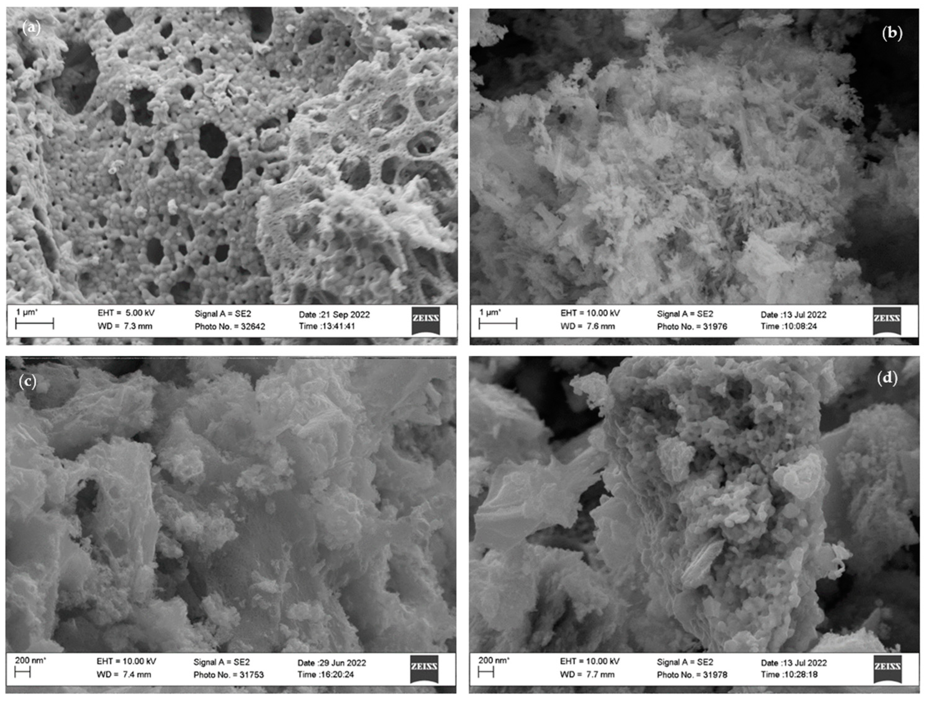 Catalysts 13 01177 g003