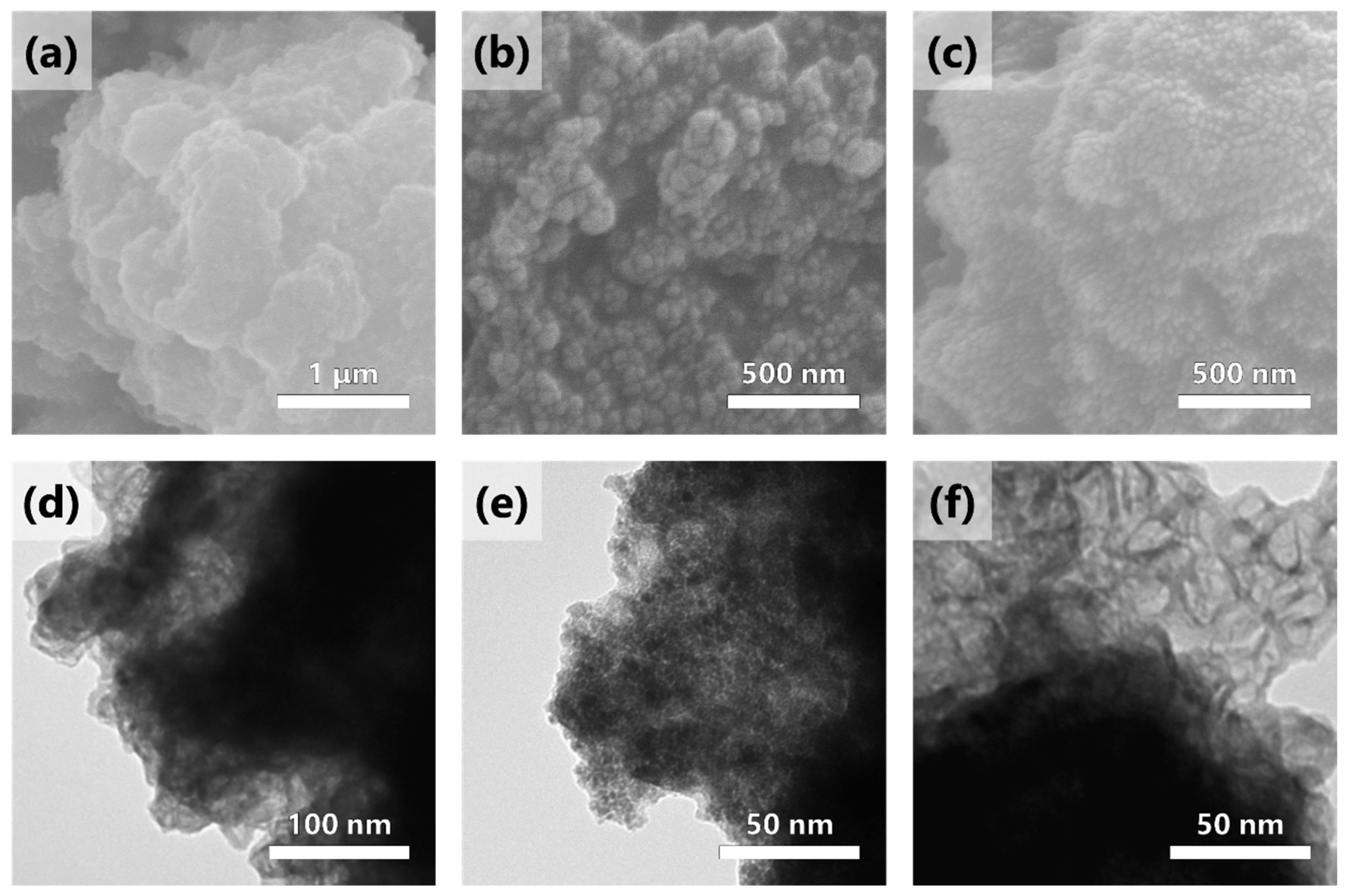 Catalysts 13 01179 g002 Catalysts 13 01179 g002