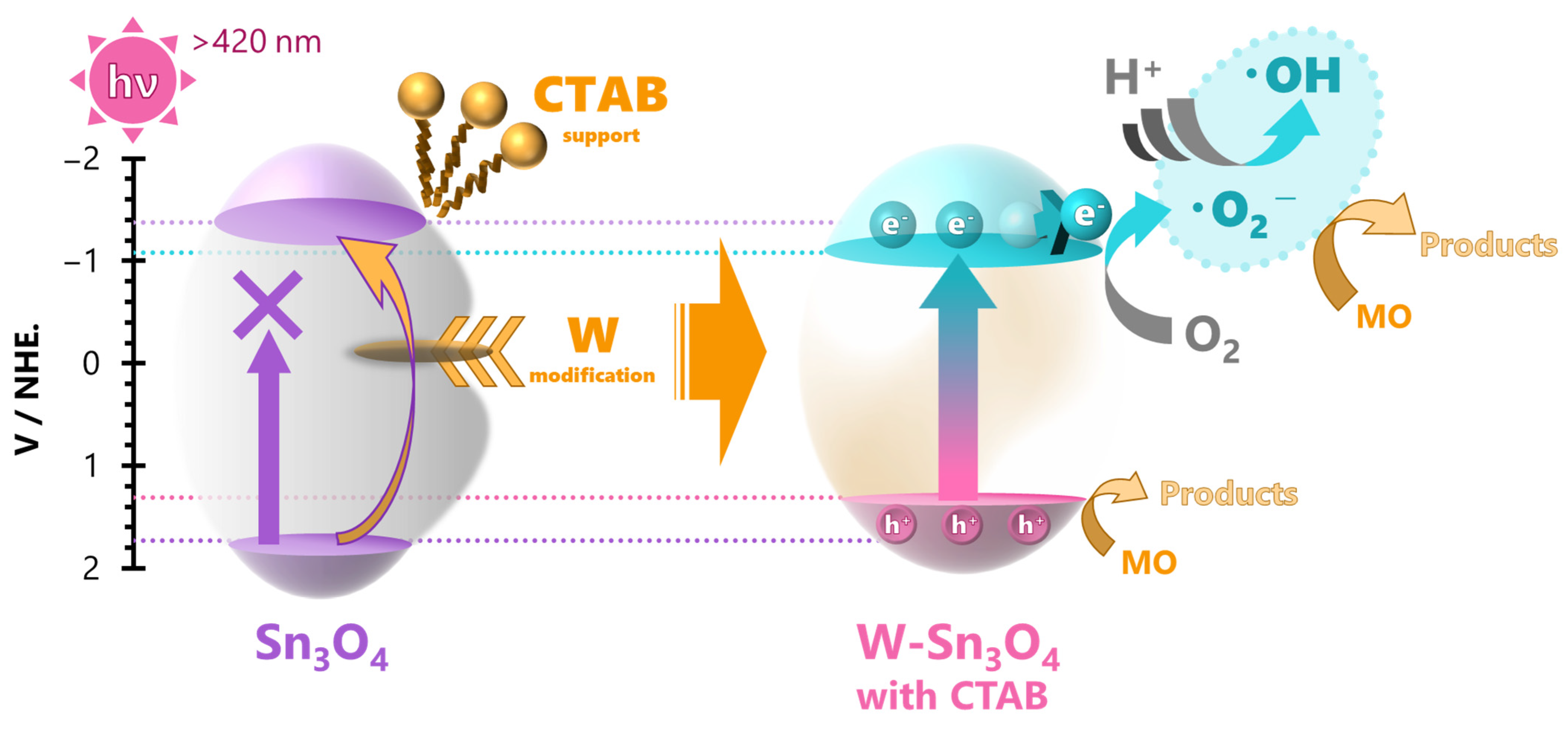 Catalysts 13 01179 g010 Catalysts 13 01179 g010