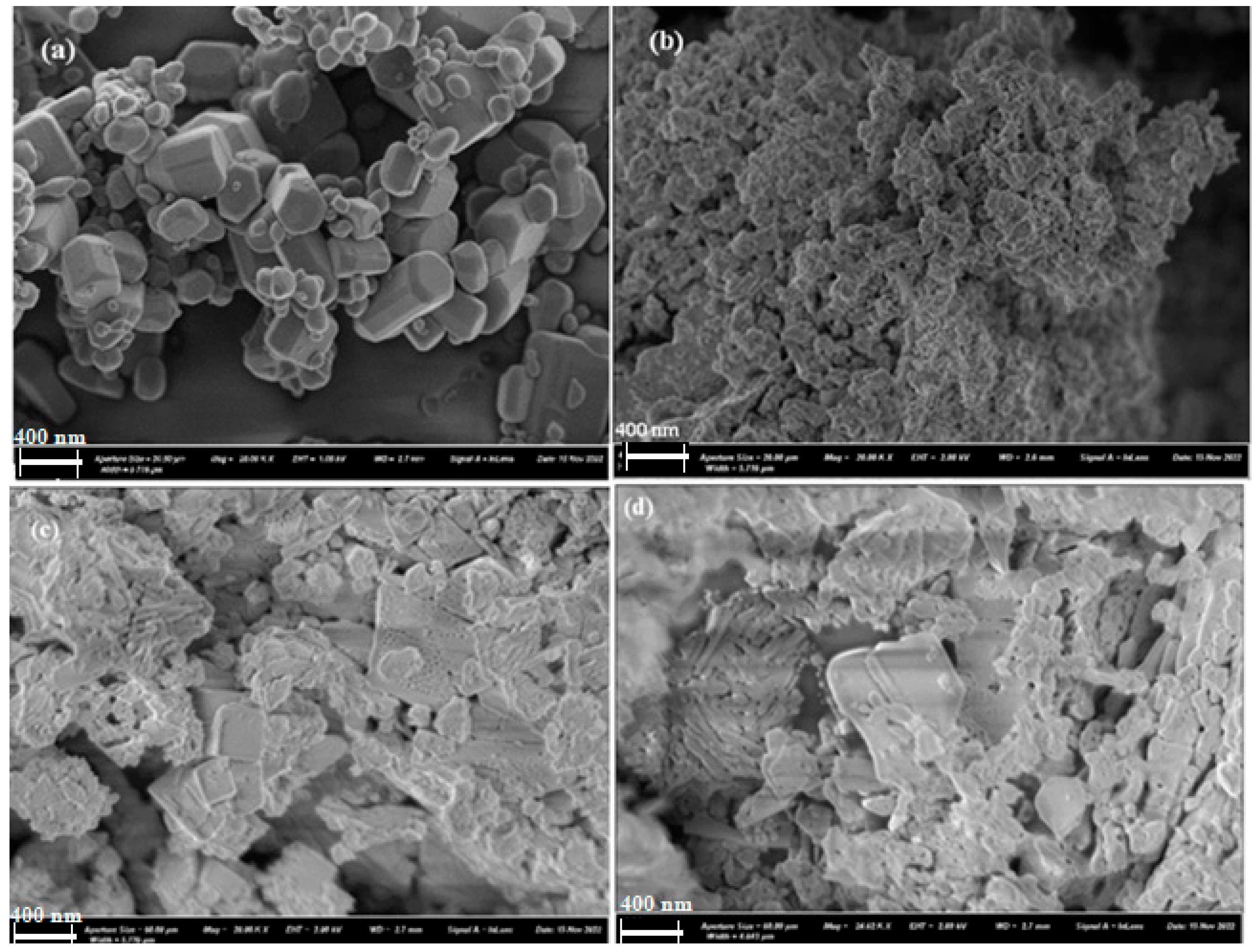 Catalysts 13 01181 g005