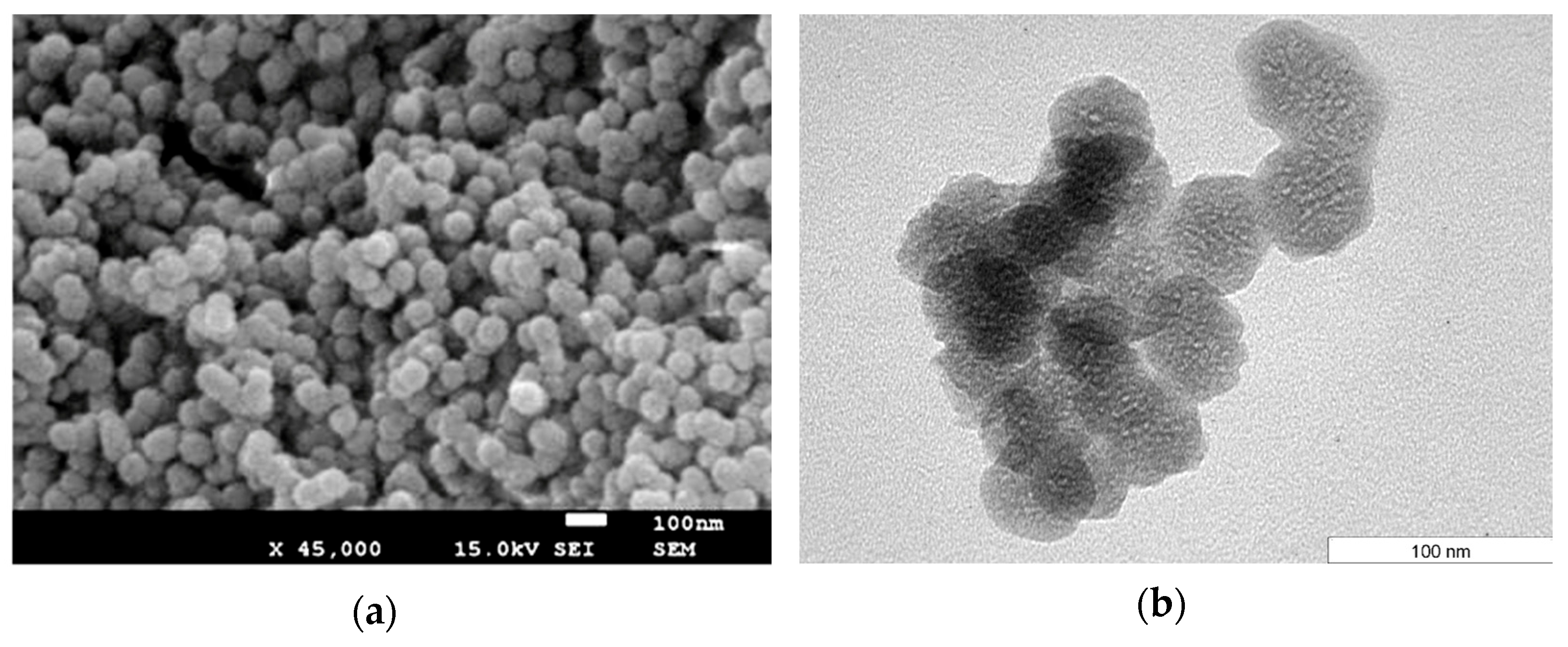 Catalysts 13 01182 g001 Catalysts 13 01182 g001