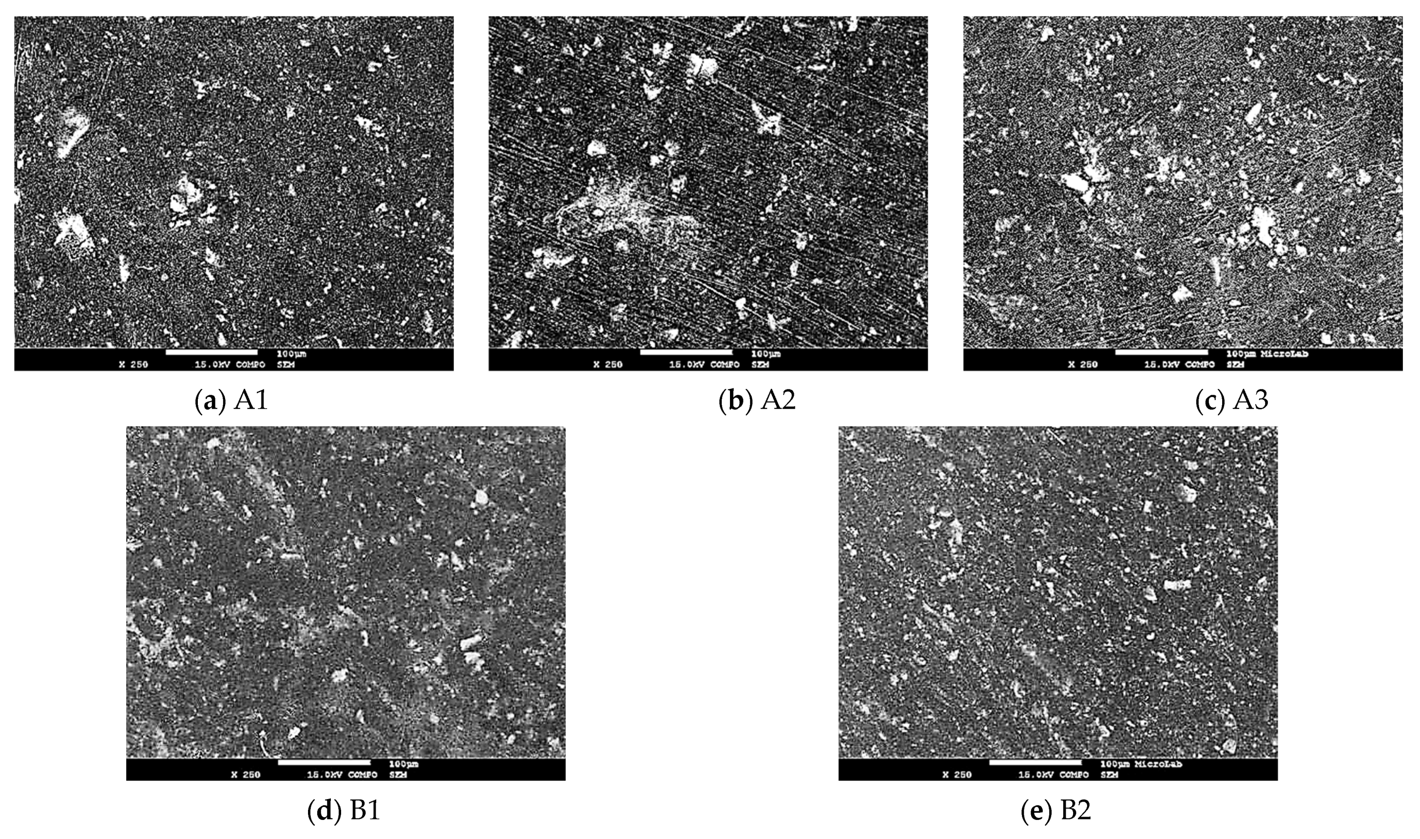 Catalysts 13 01182 g008 Catalysts 13 01182 g008