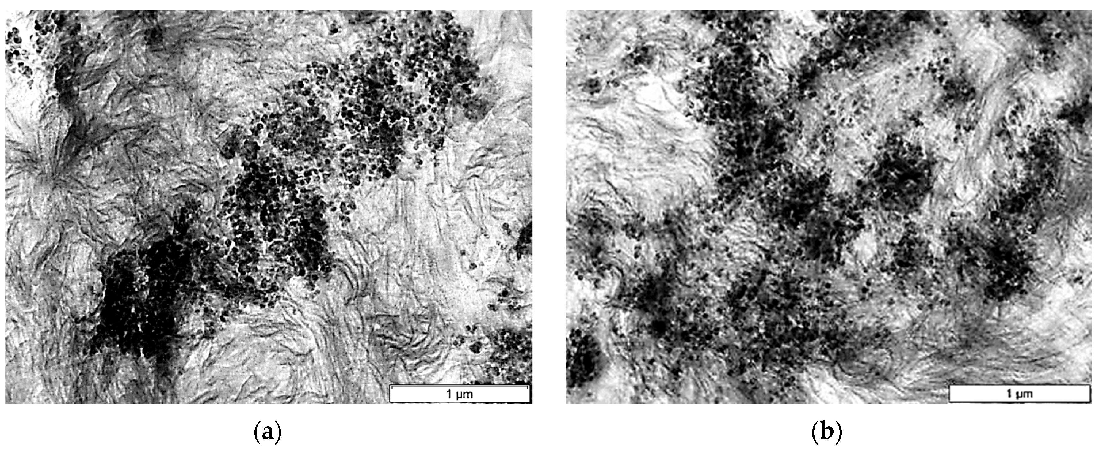 Catalysts 13 01182 g009 Catalysts 13 01182 g009