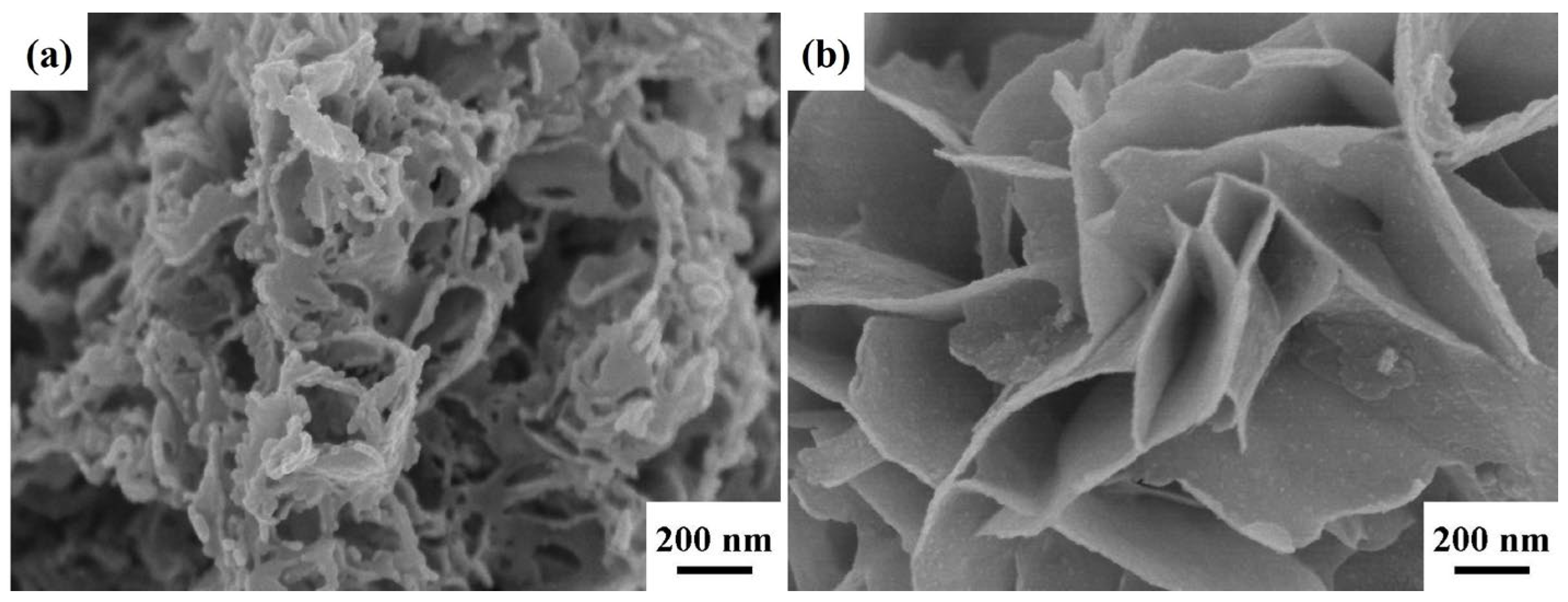 Catalysts 13 01187 g002 Catalysts 13 01187 g002