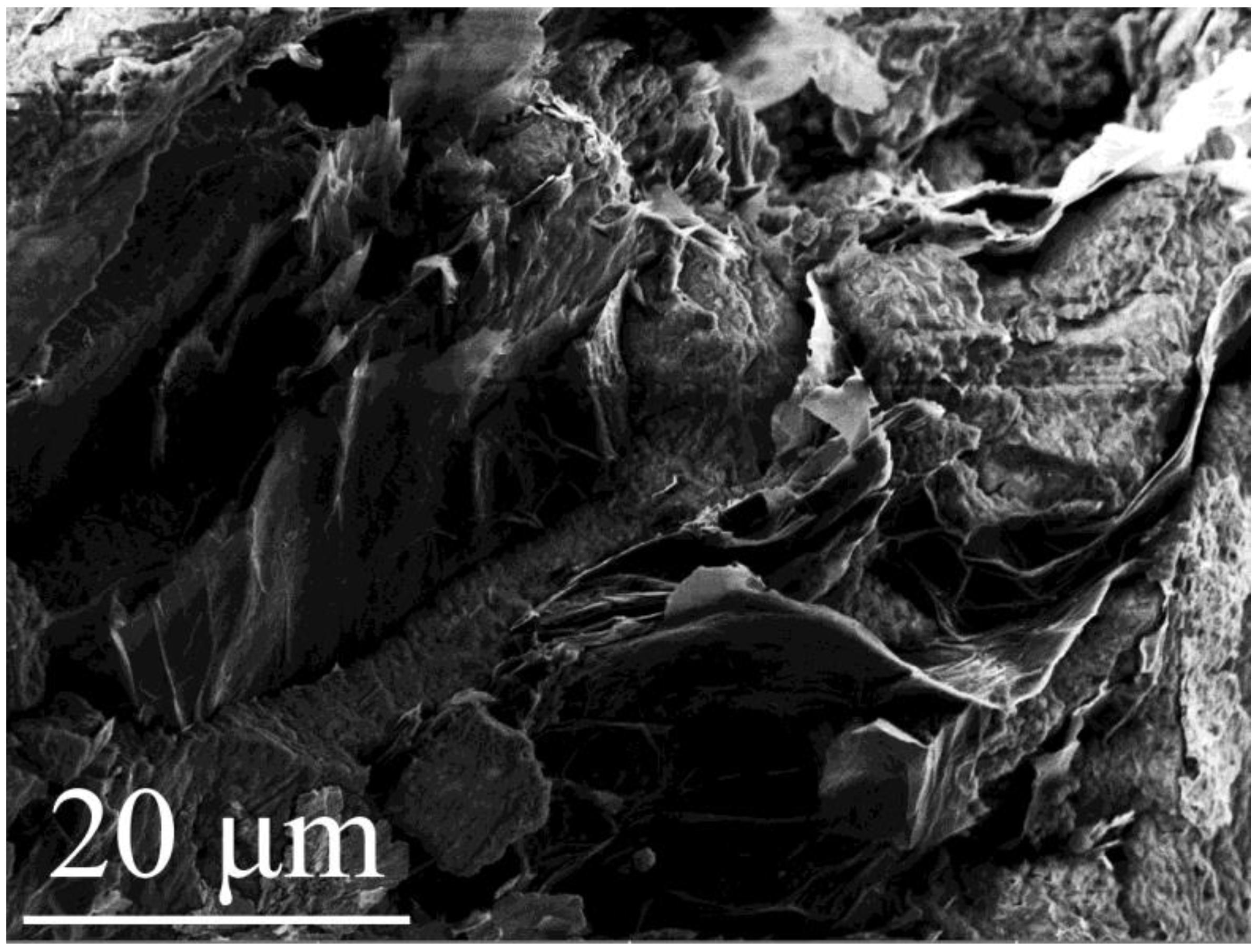 Catalysts 13 01188 g001