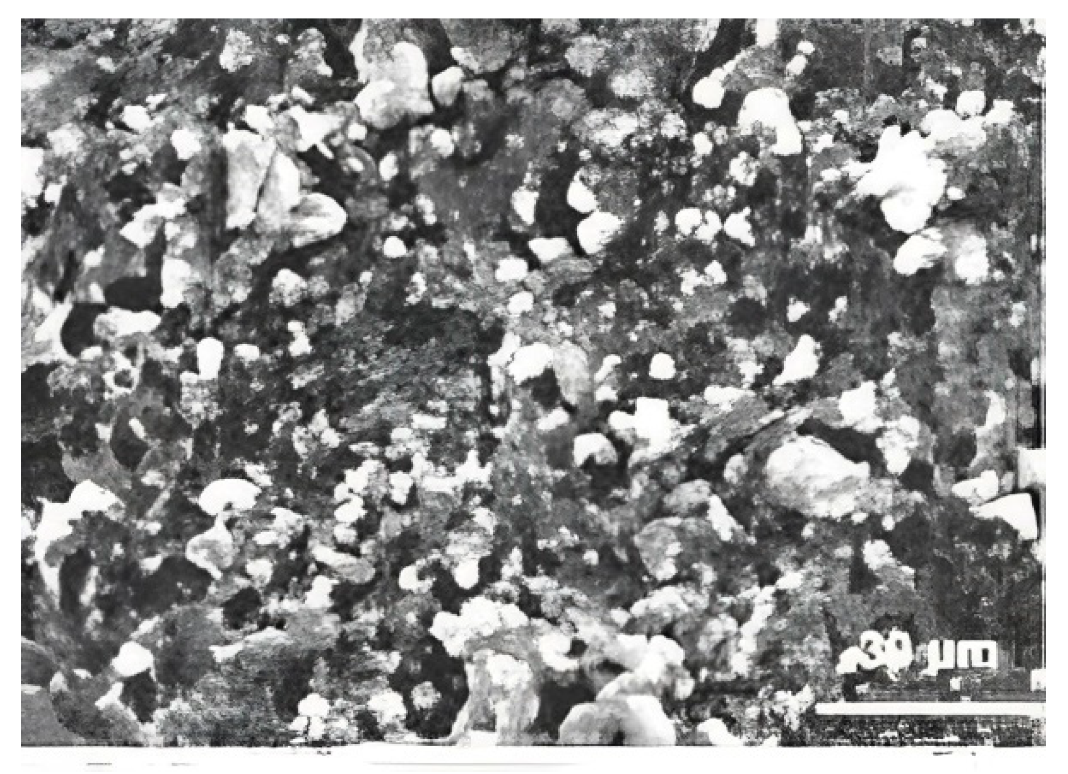 Catalysts 13 01189 g003 Catalysts 13 01189 g003