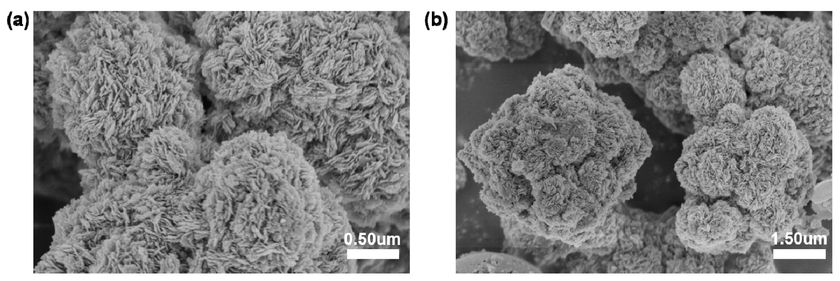 Catalysts 13 01195 g002