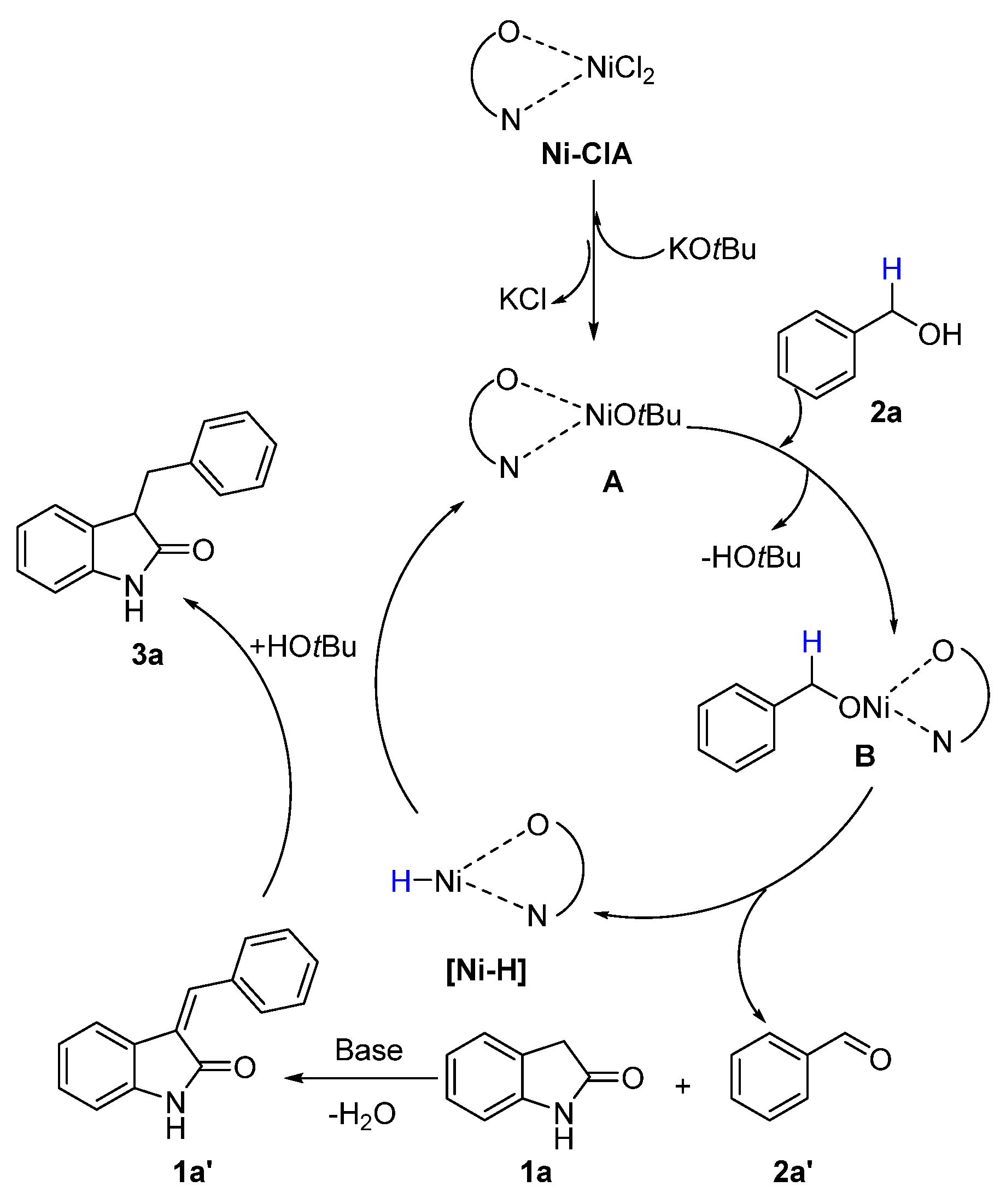 Catalysts 13 01195 sch007