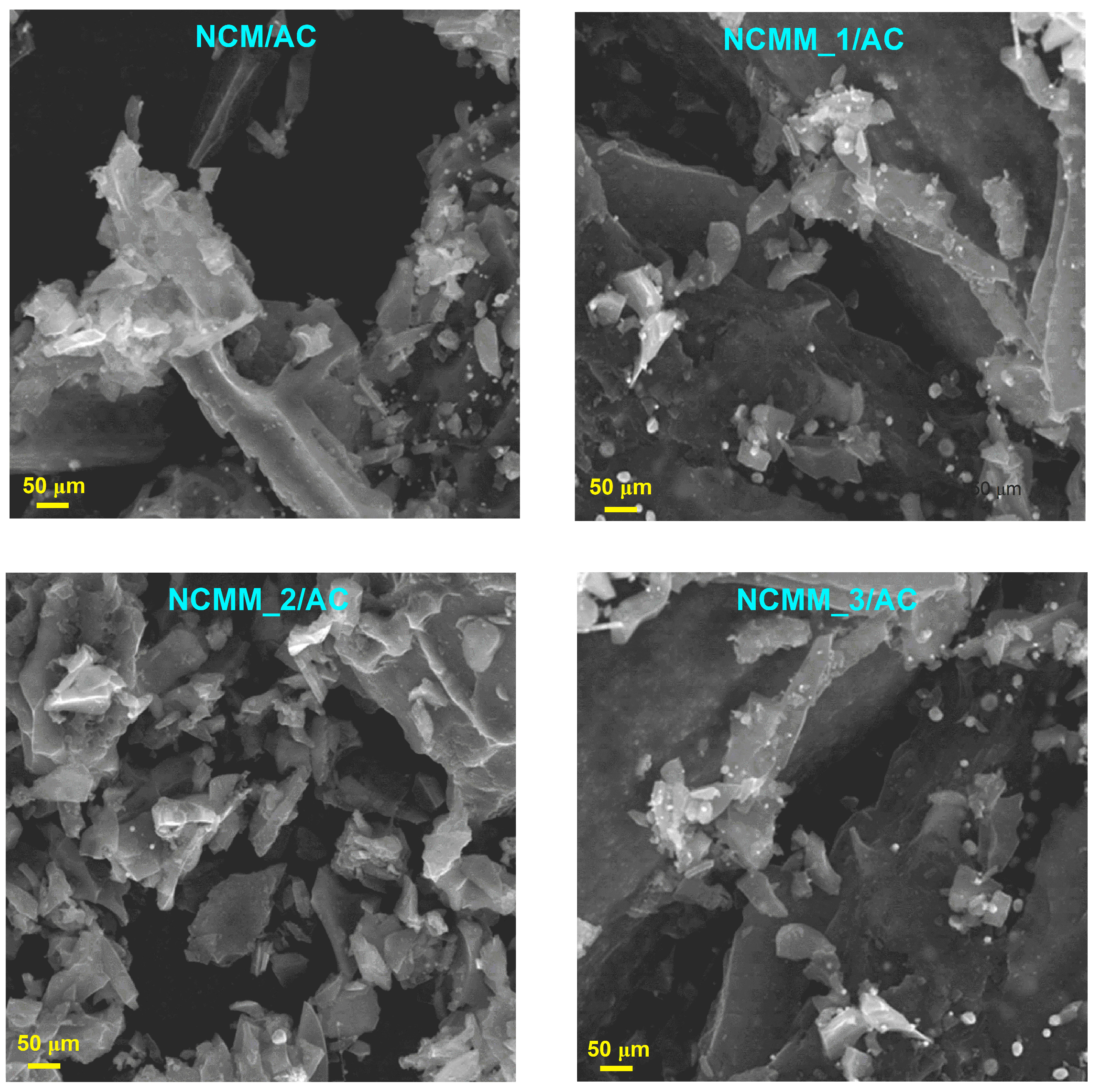 Catalysts 13 01196 g002 Catalysts 13 01196 g002