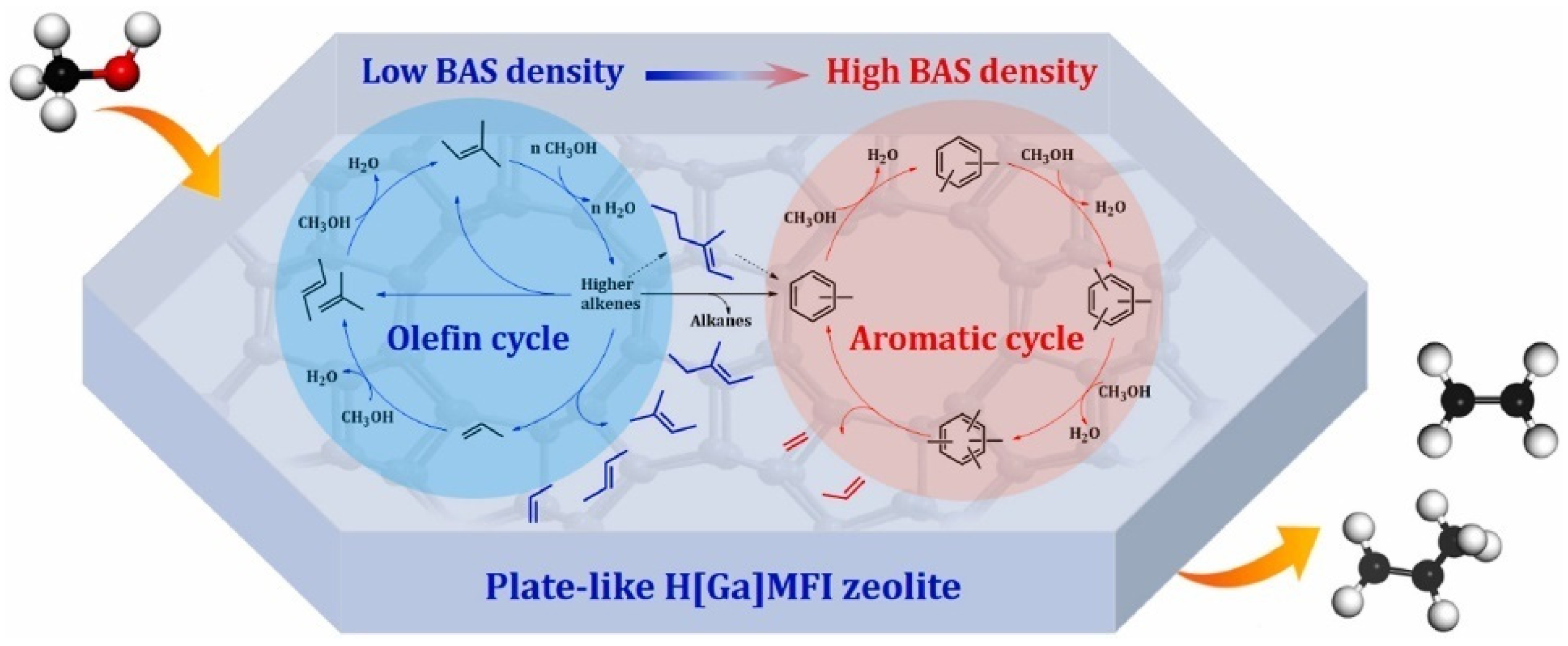 Catalysts 13 01197 g003