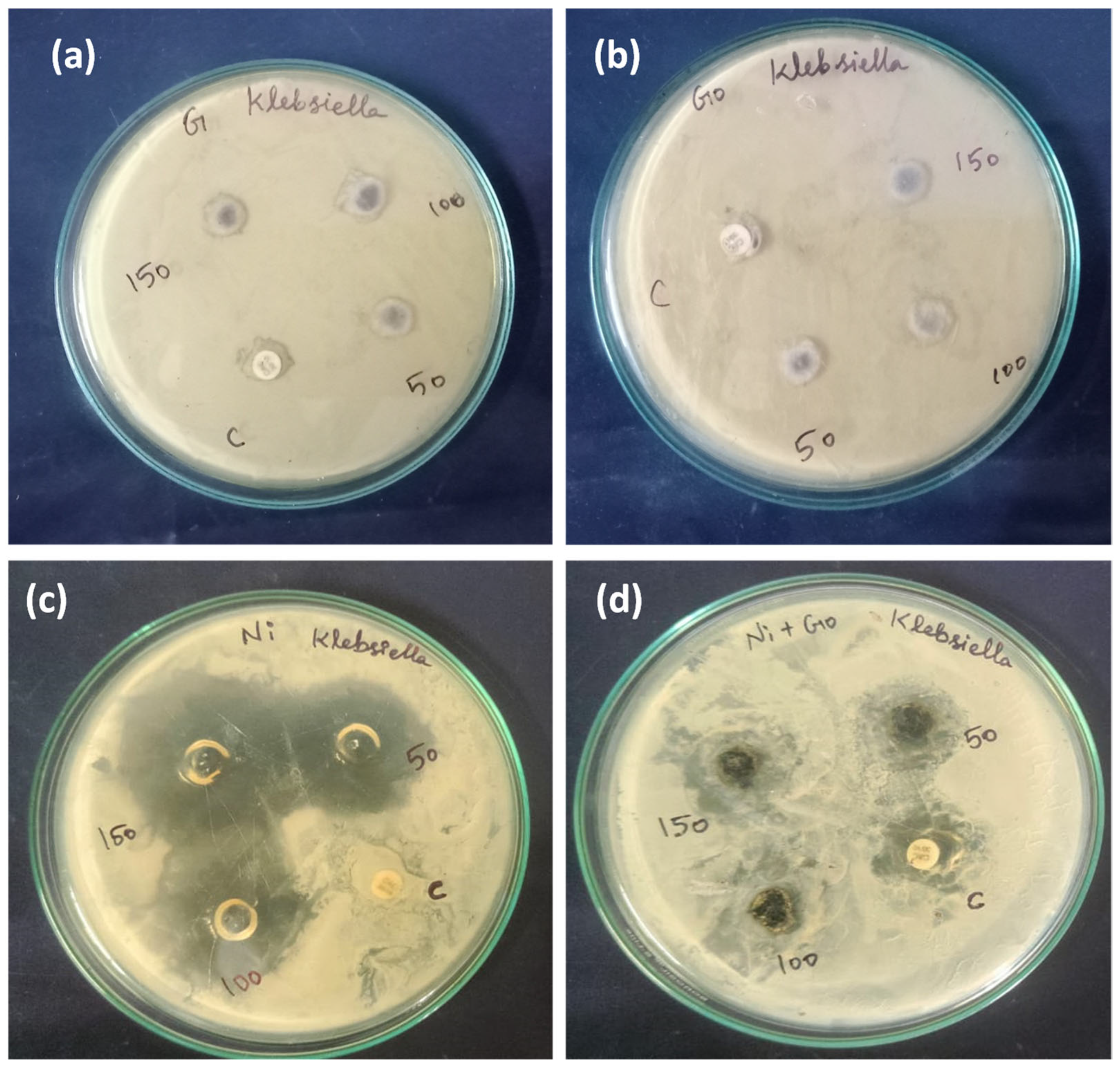 Catalysts 13 01200 g014