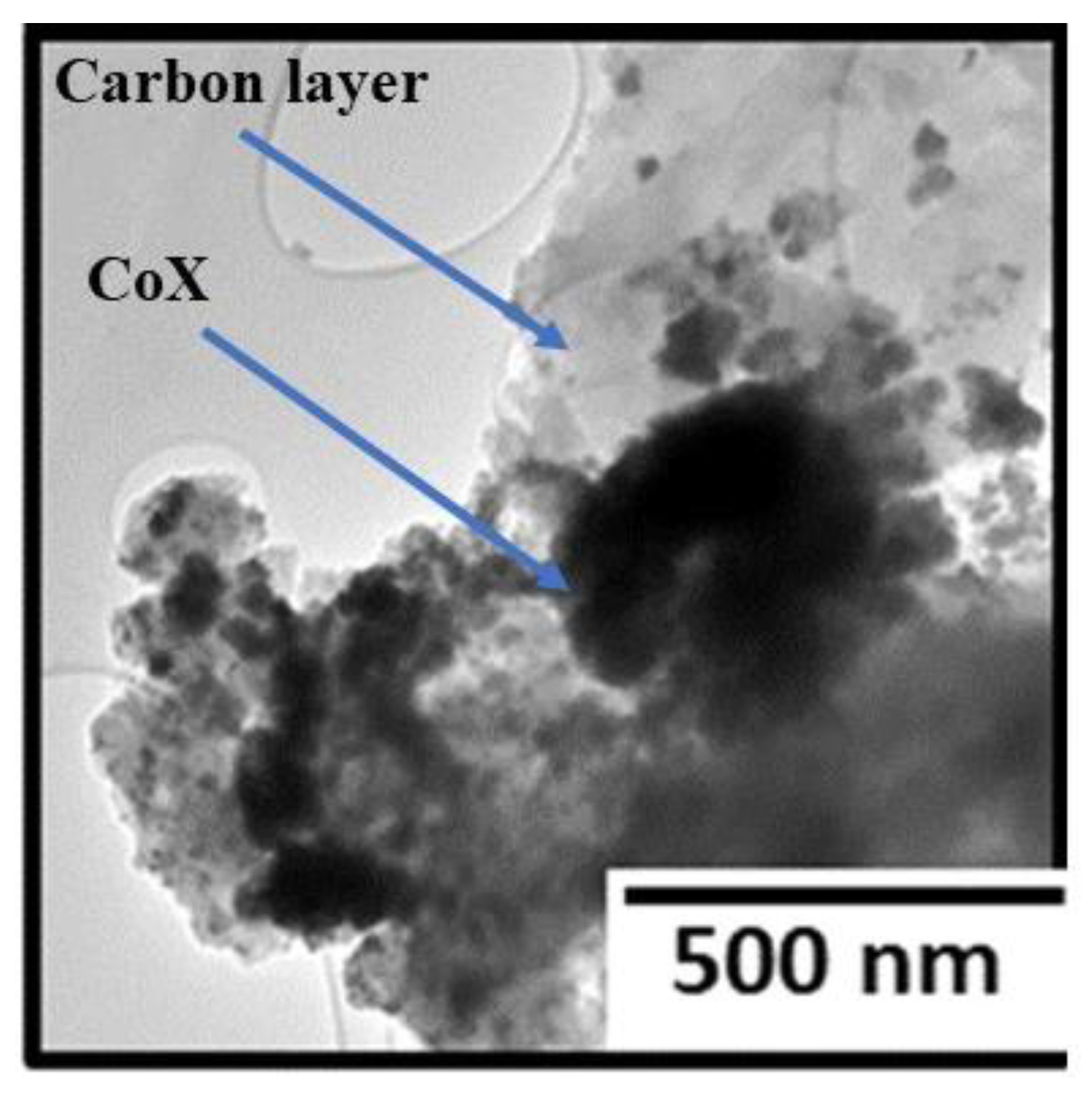 Catalysts 13 01201 g010 Catalysts 13 01201 g010