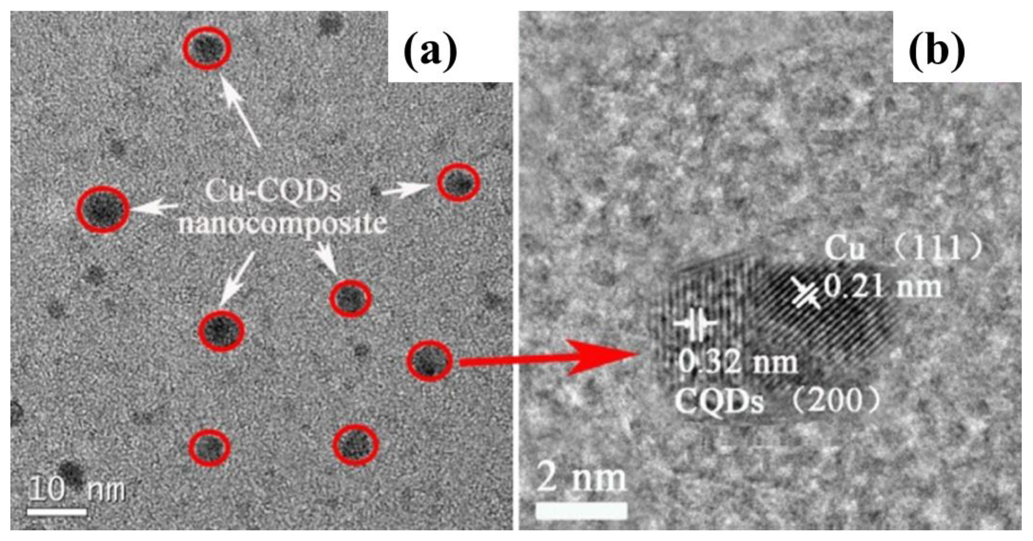Catalysts 13 01201 g014 Catalysts 13 01201 g014