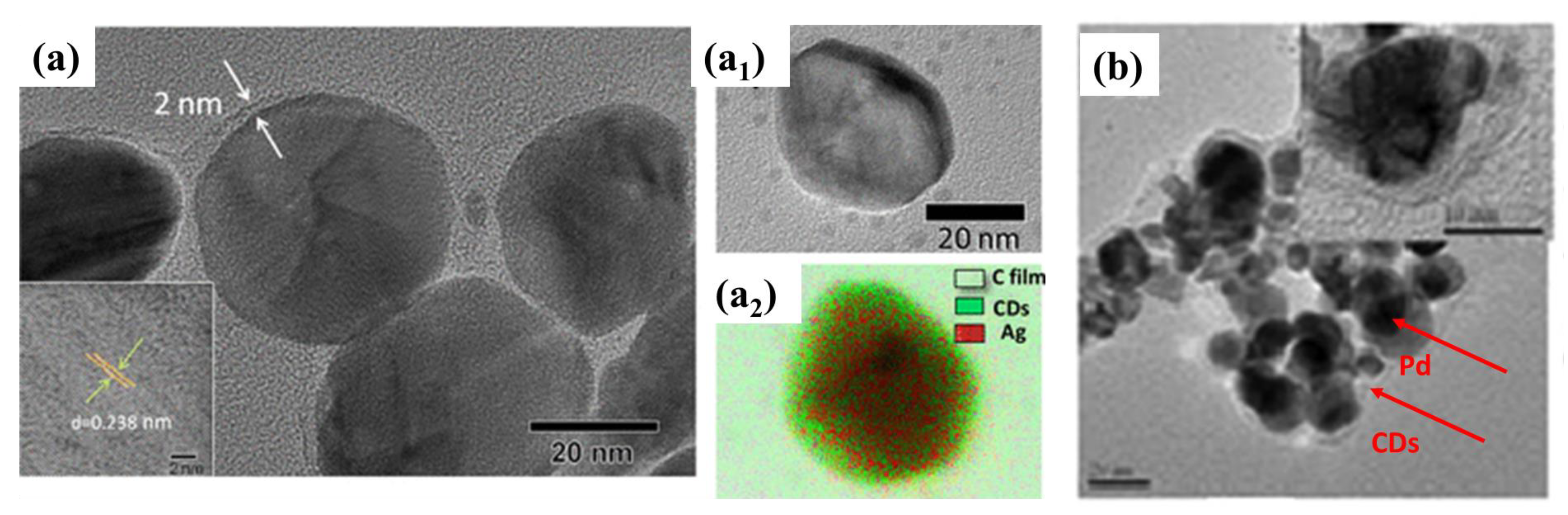 Catalysts 13 01201 g018 Catalysts 13 01201 g018