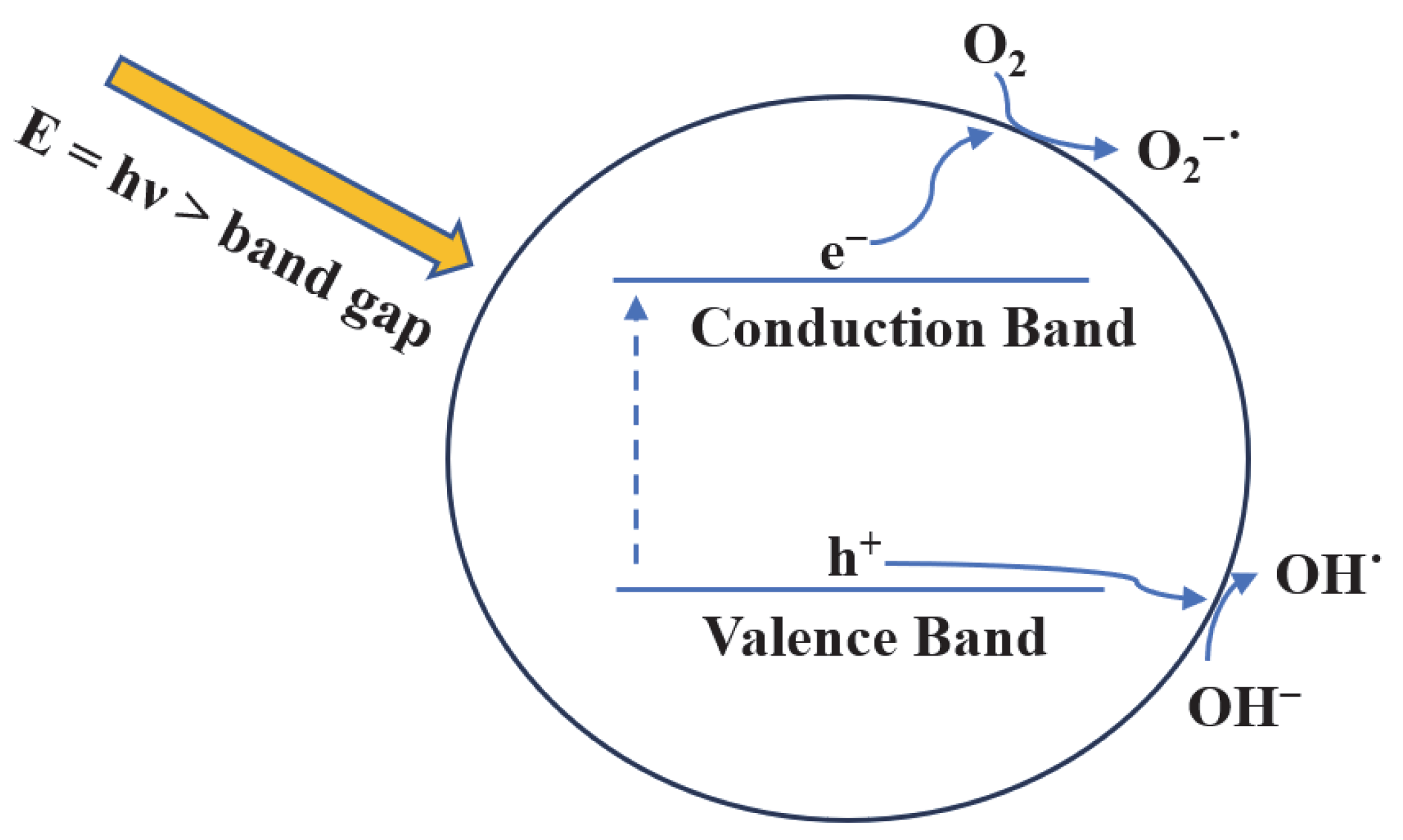 Catalysts 13 01203 g001 Catalysts 13 01203 g001