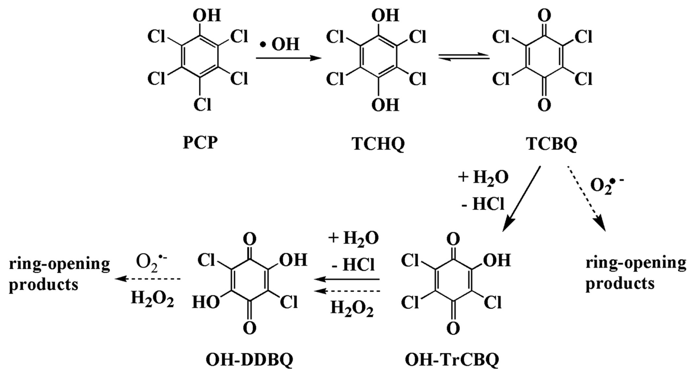 Catalysts 13 01204 g001 Catalysts 13 01204 g001