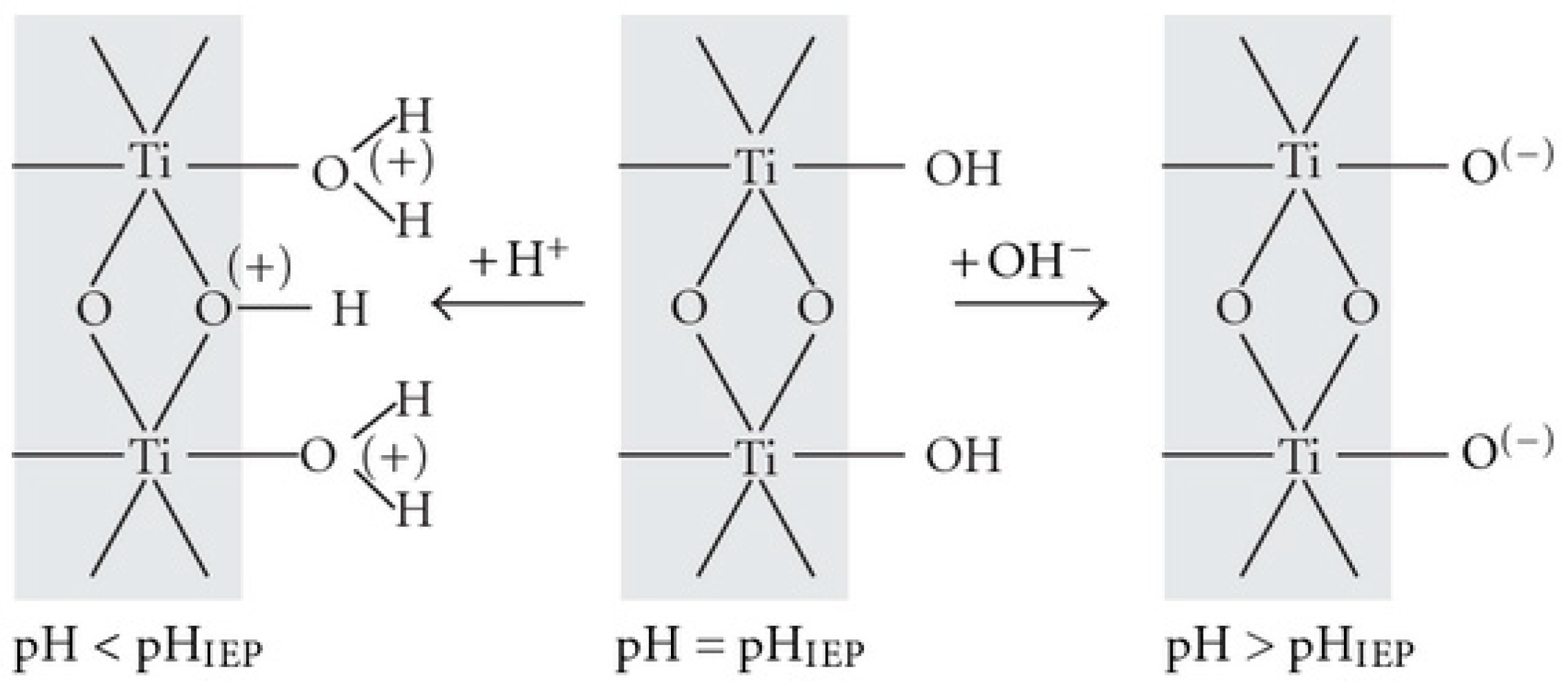 Catalysts 13 01204 g002 Catalysts 13 01204 g002