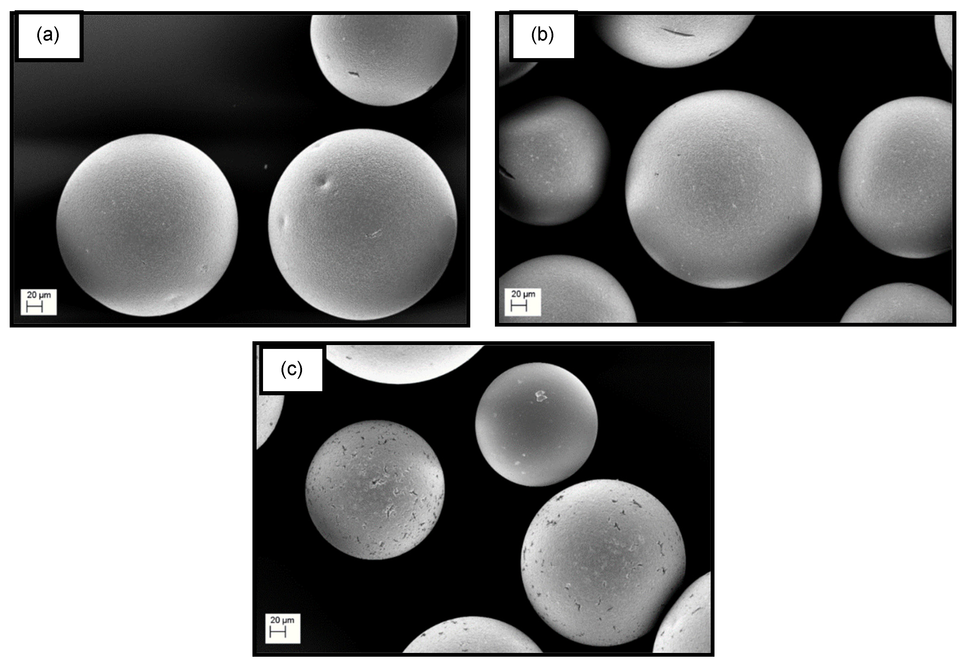 Catalysts 13 01209 g006 Catalysts 13 01209 g006
