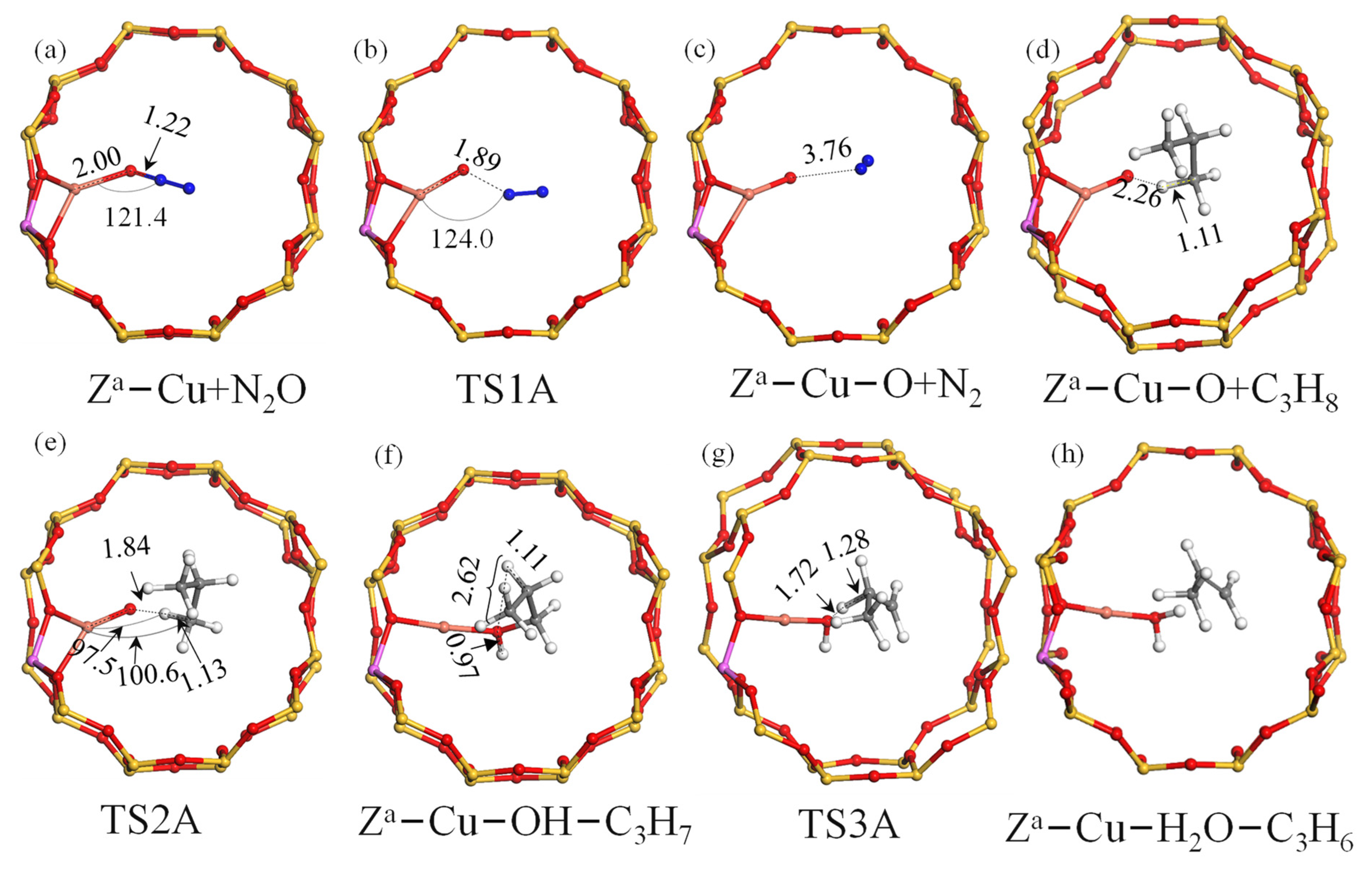 Catalysts 13 01212 g002 Catalysts 13 01212 g002