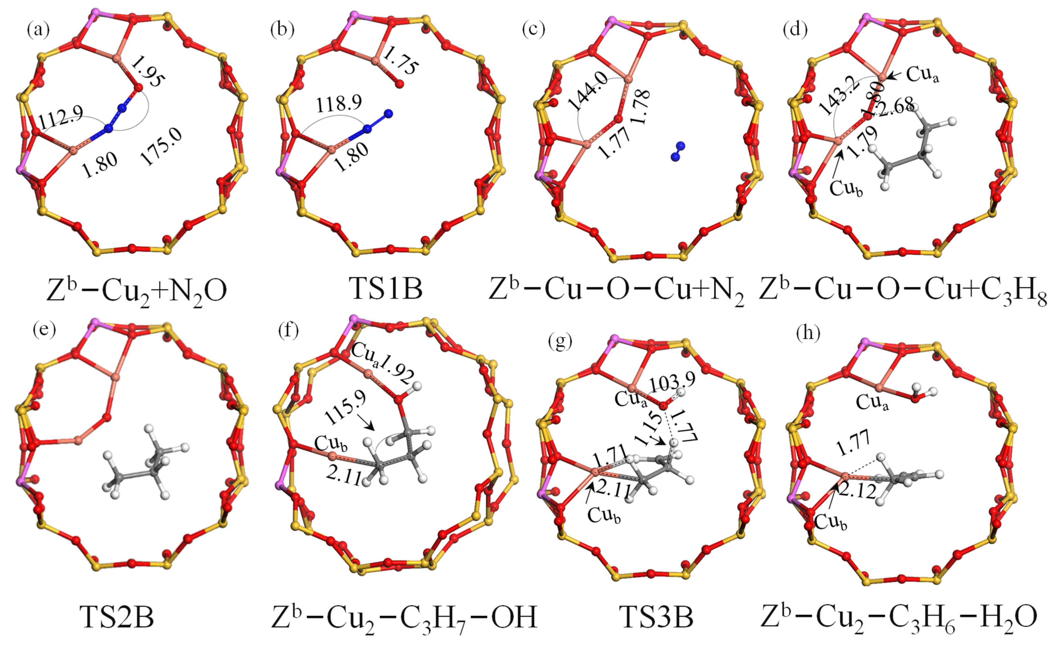 Catalysts 13 01212 g003 Catalysts 13 01212 g003