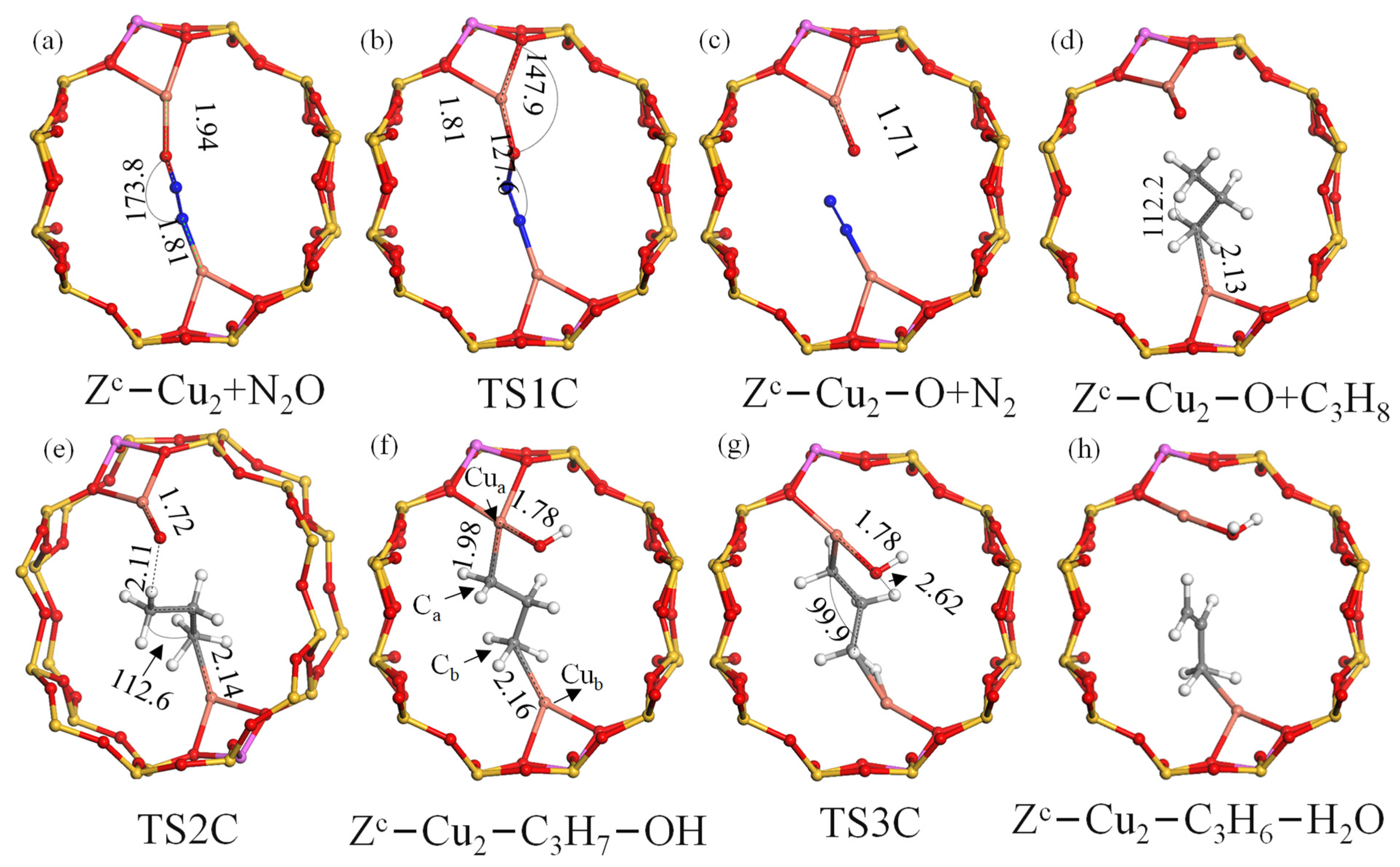 Catalysts 13 01212 g004 Catalysts 13 01212 g004