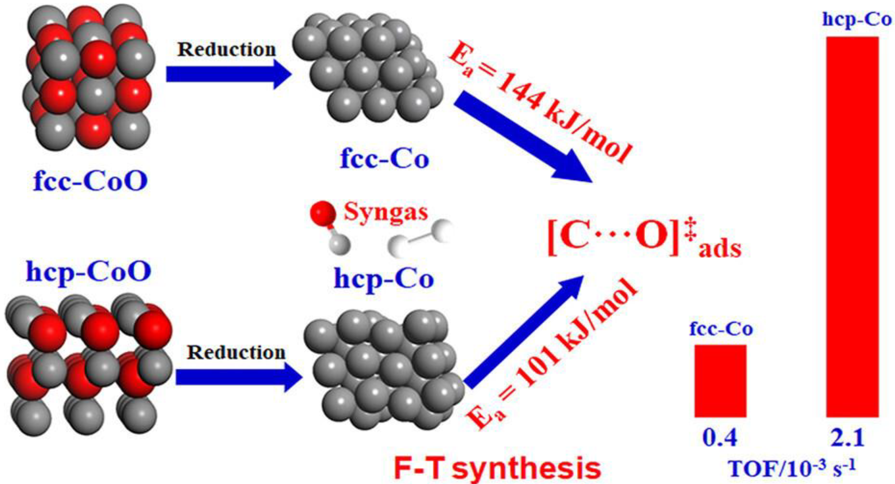 Catalysts 13 01215 g002
