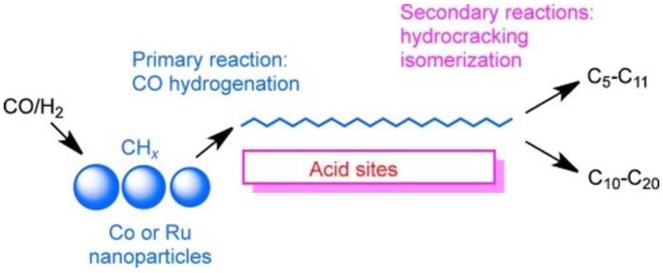Catalysts 13 01215 g006