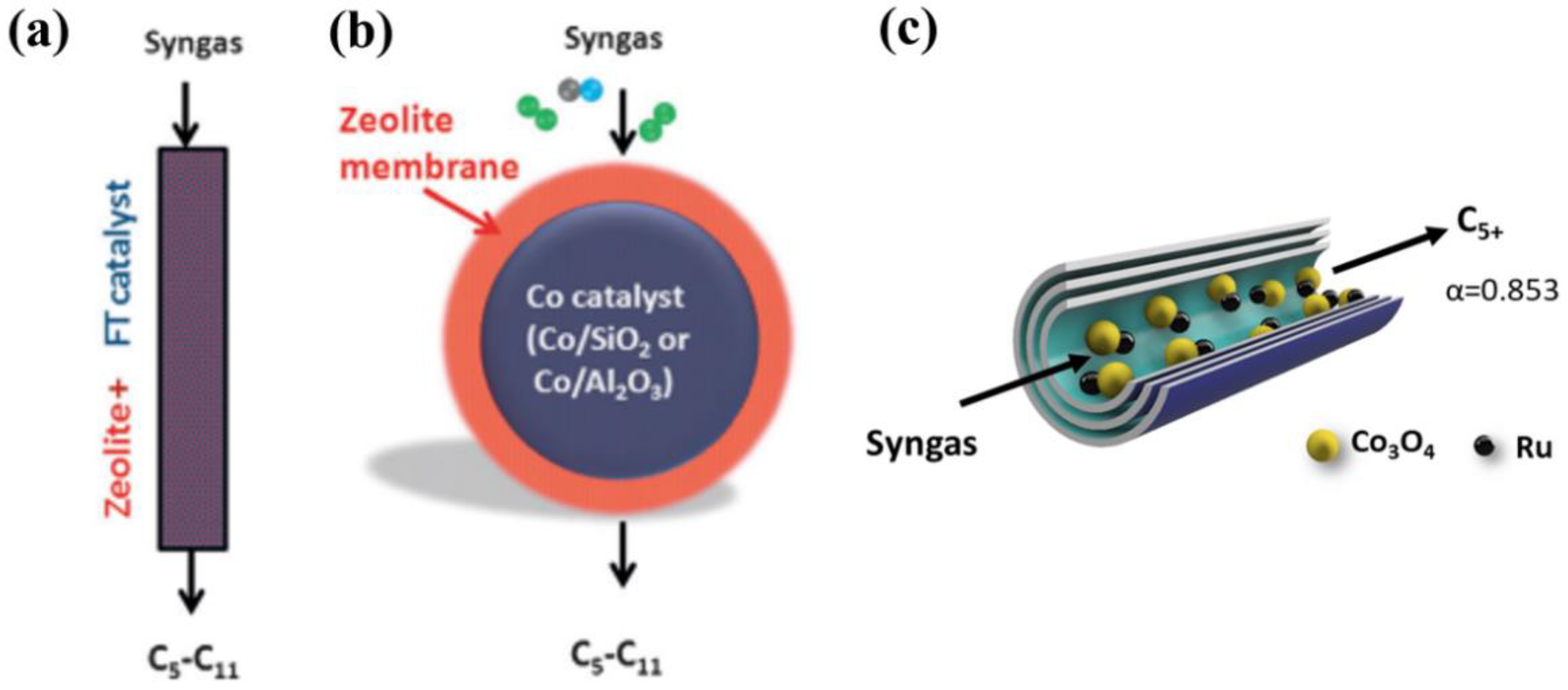 Catalysts 13 01215 g007