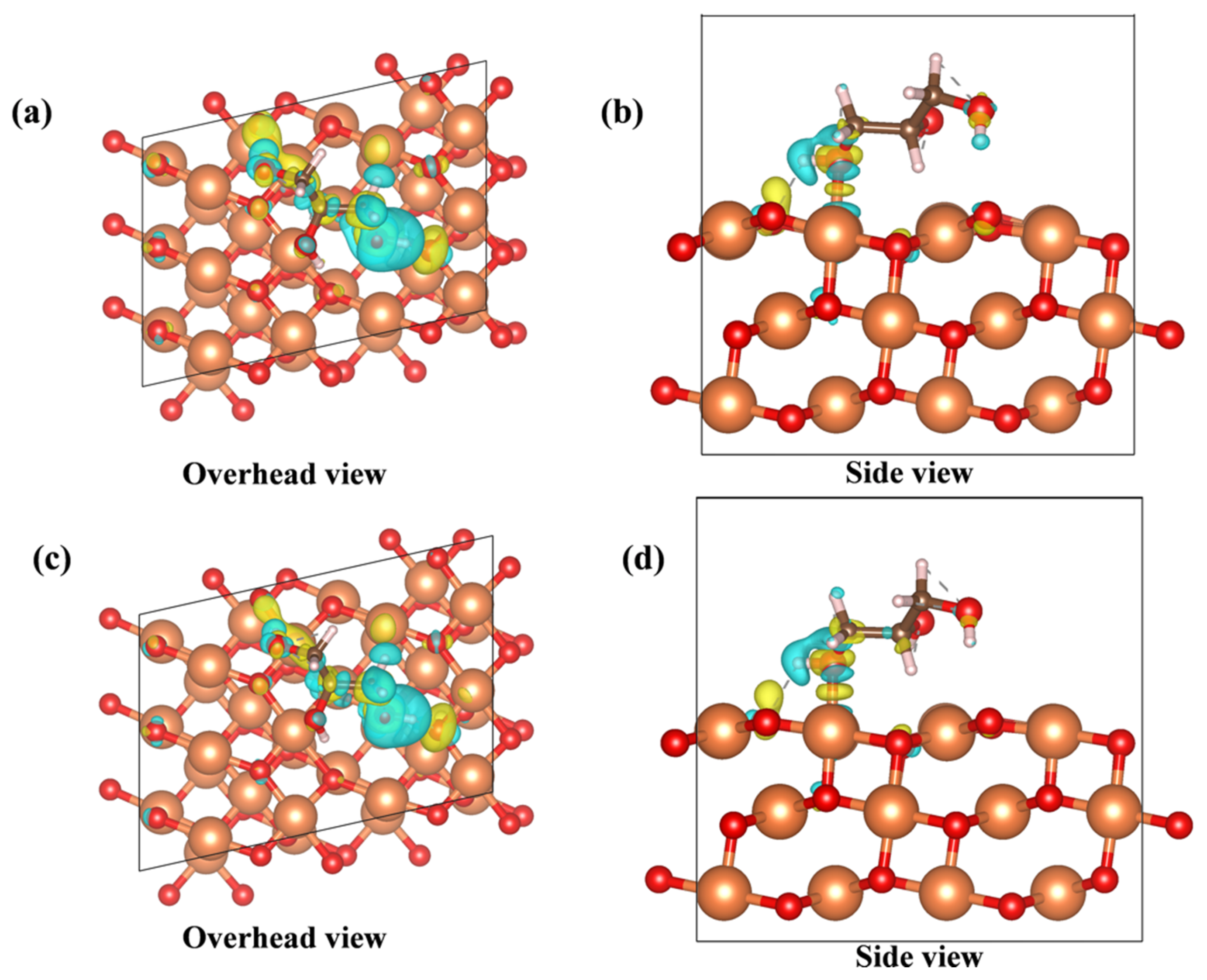 Catalysts 13 01218 g008