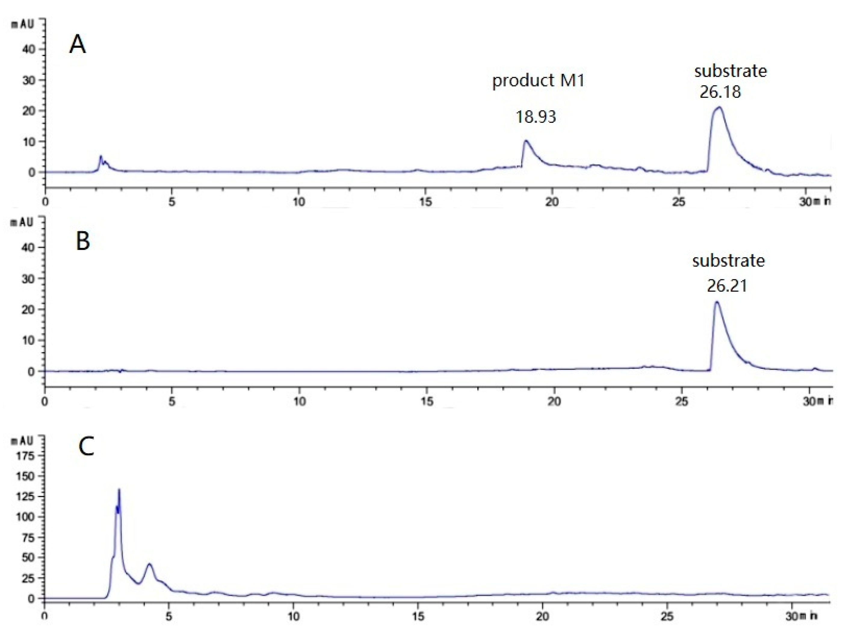 Catalysts 13 01220 g001