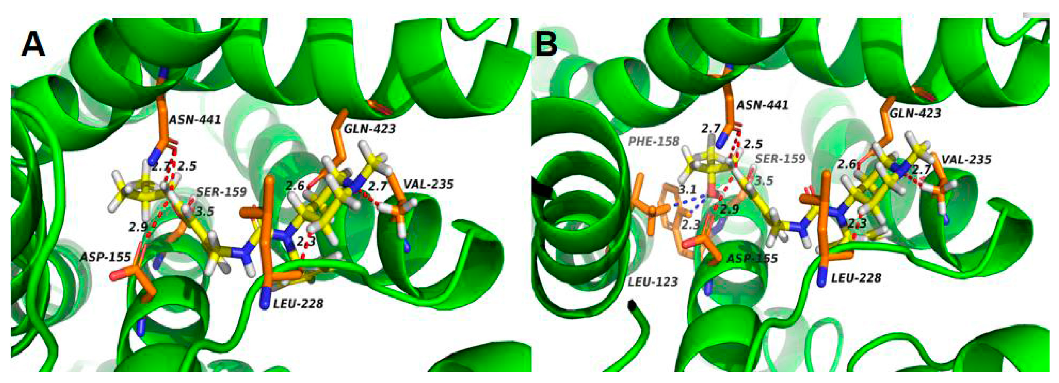 Catalysts 13 01220 g005