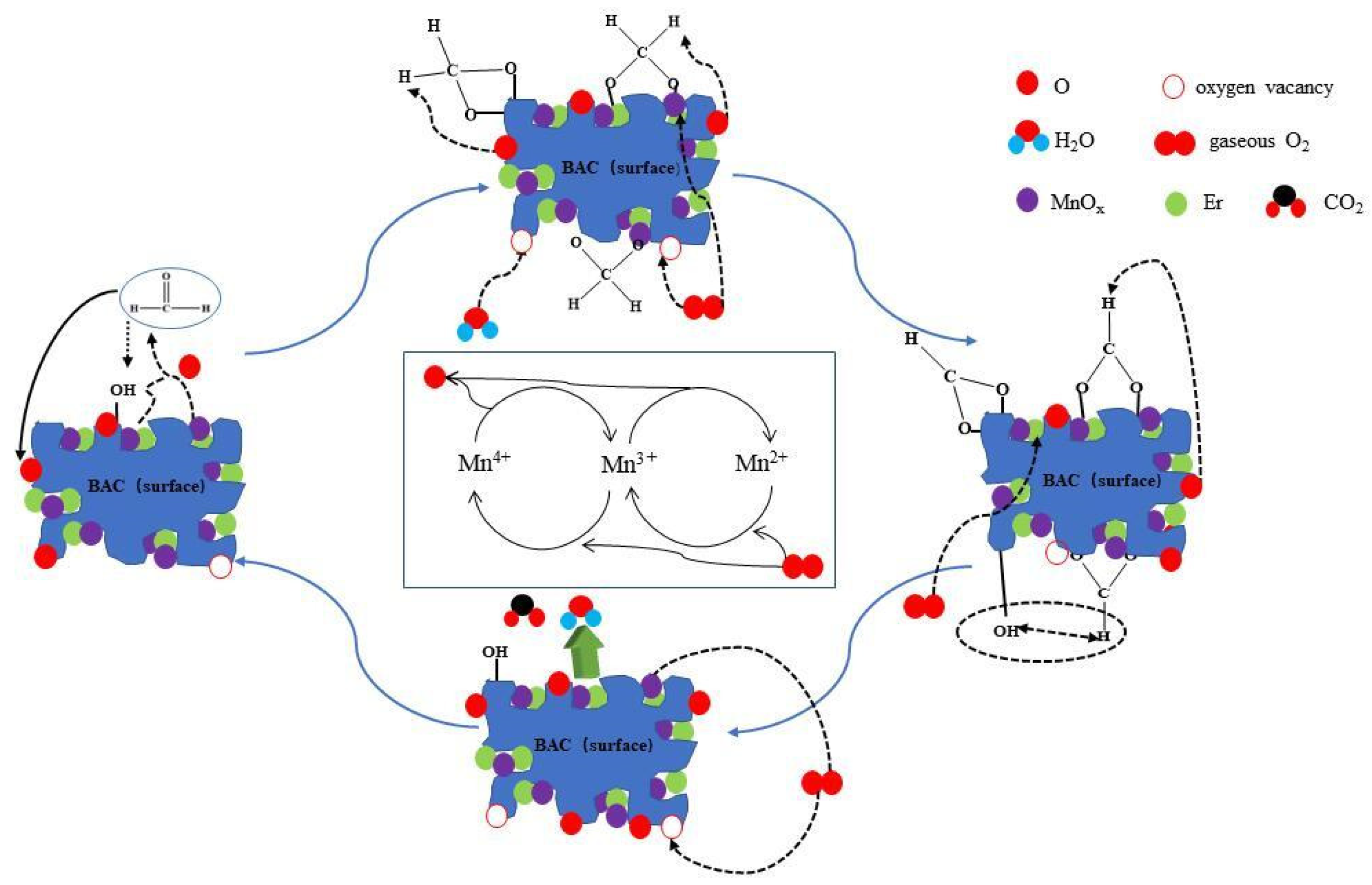 Catalysts 13 01222 g014